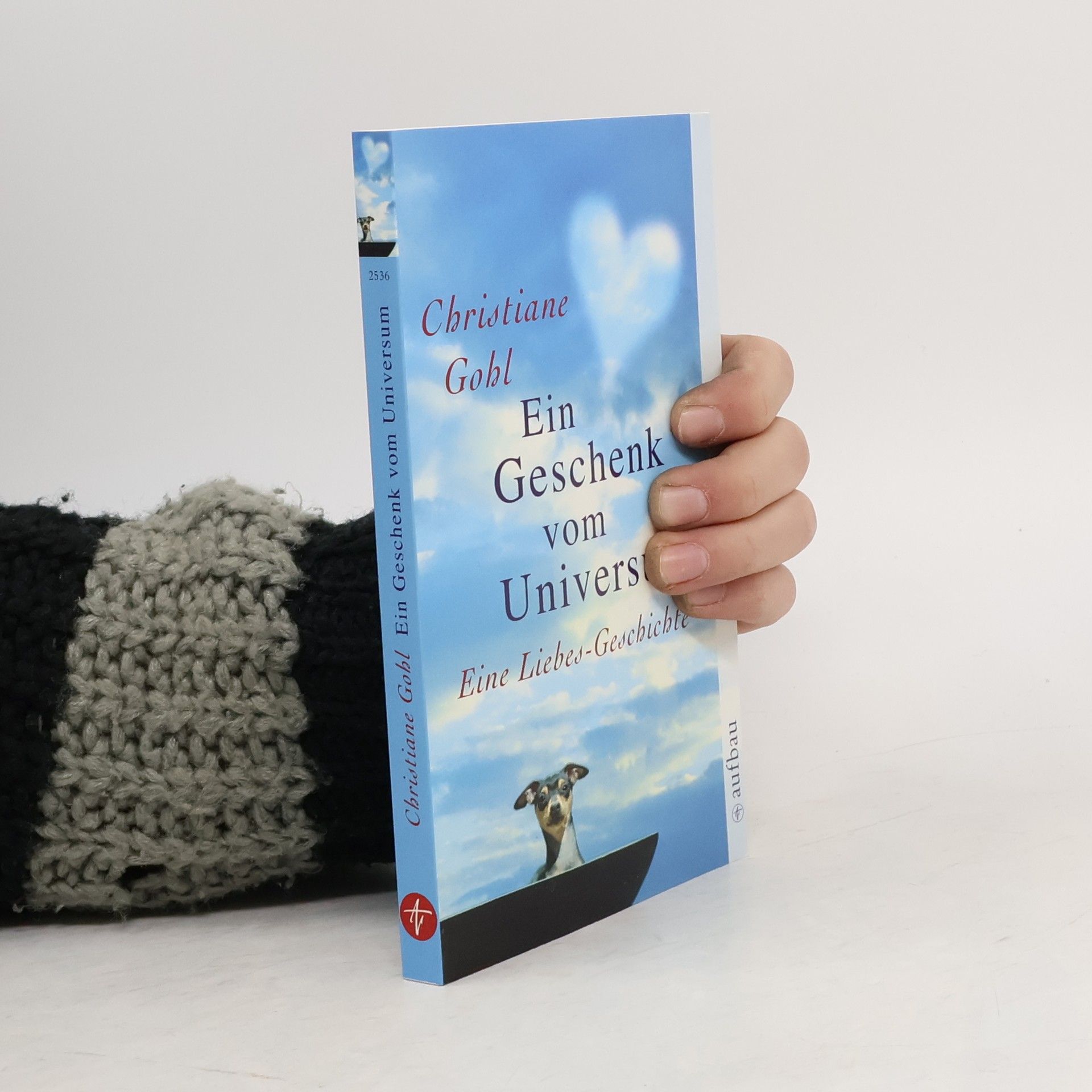 Christiane Gohl Ein Geschenk vom Universum. Eine Liebes-Geschichte