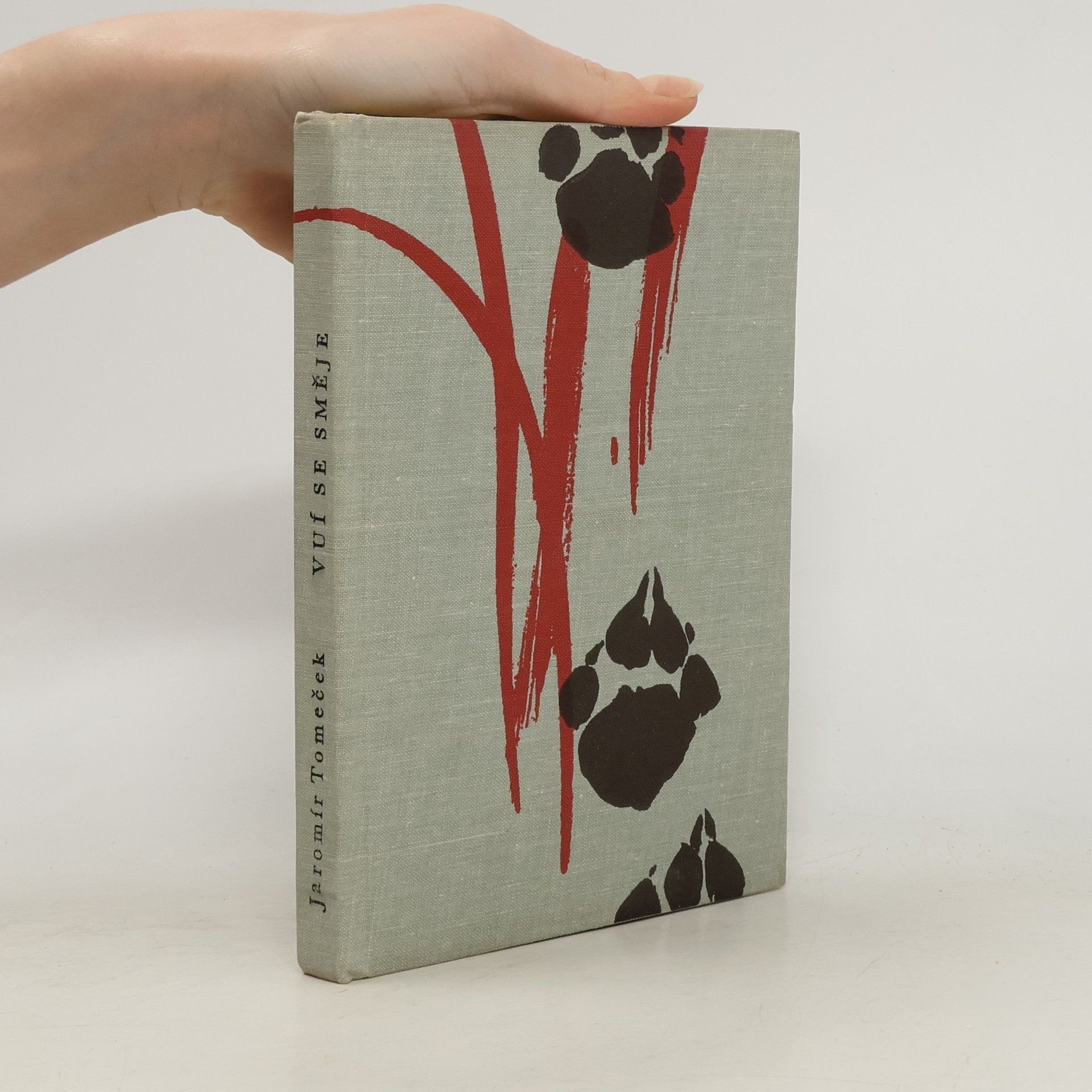 Jaromír Tomeček Vuí se směje