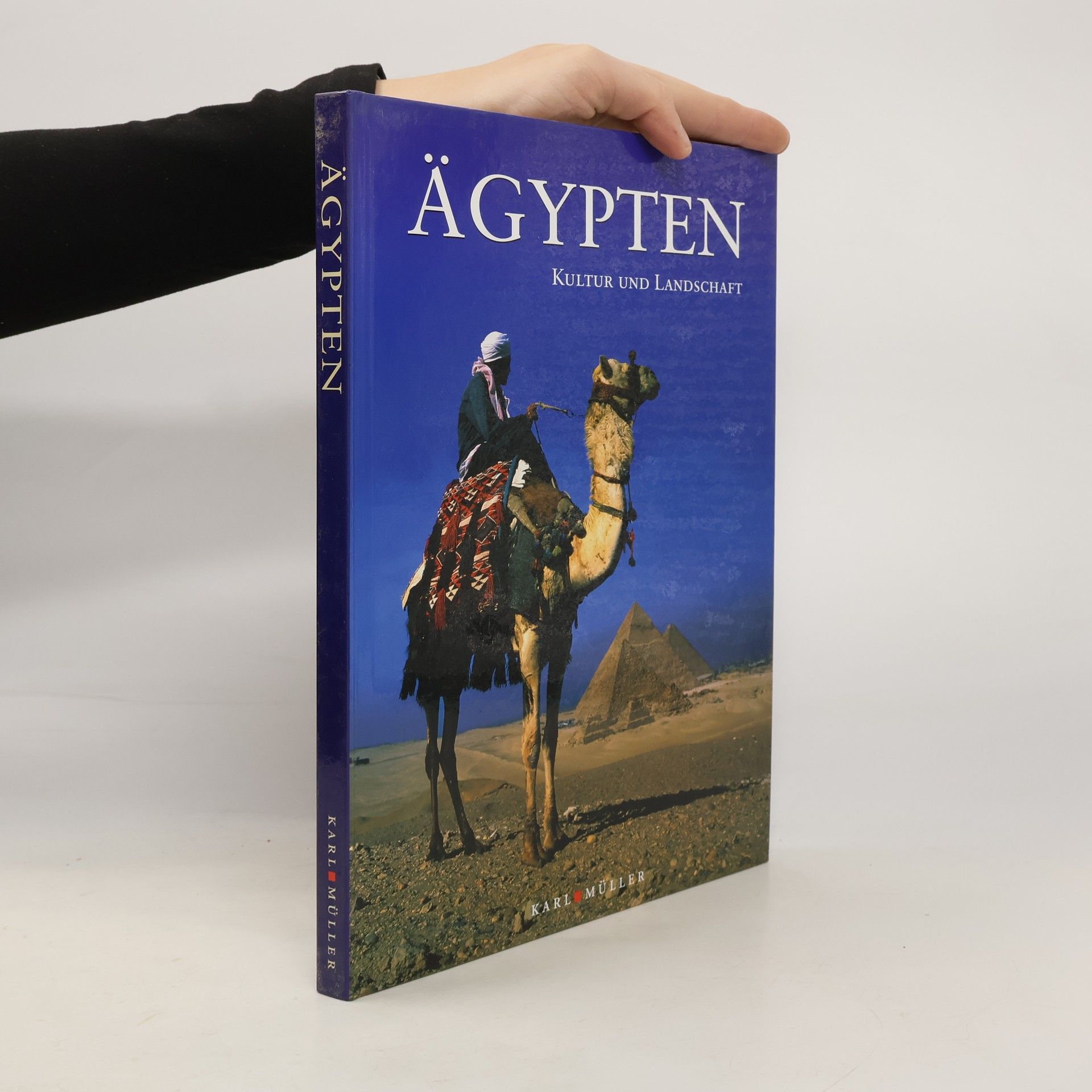 Isabella Brega Ägypten