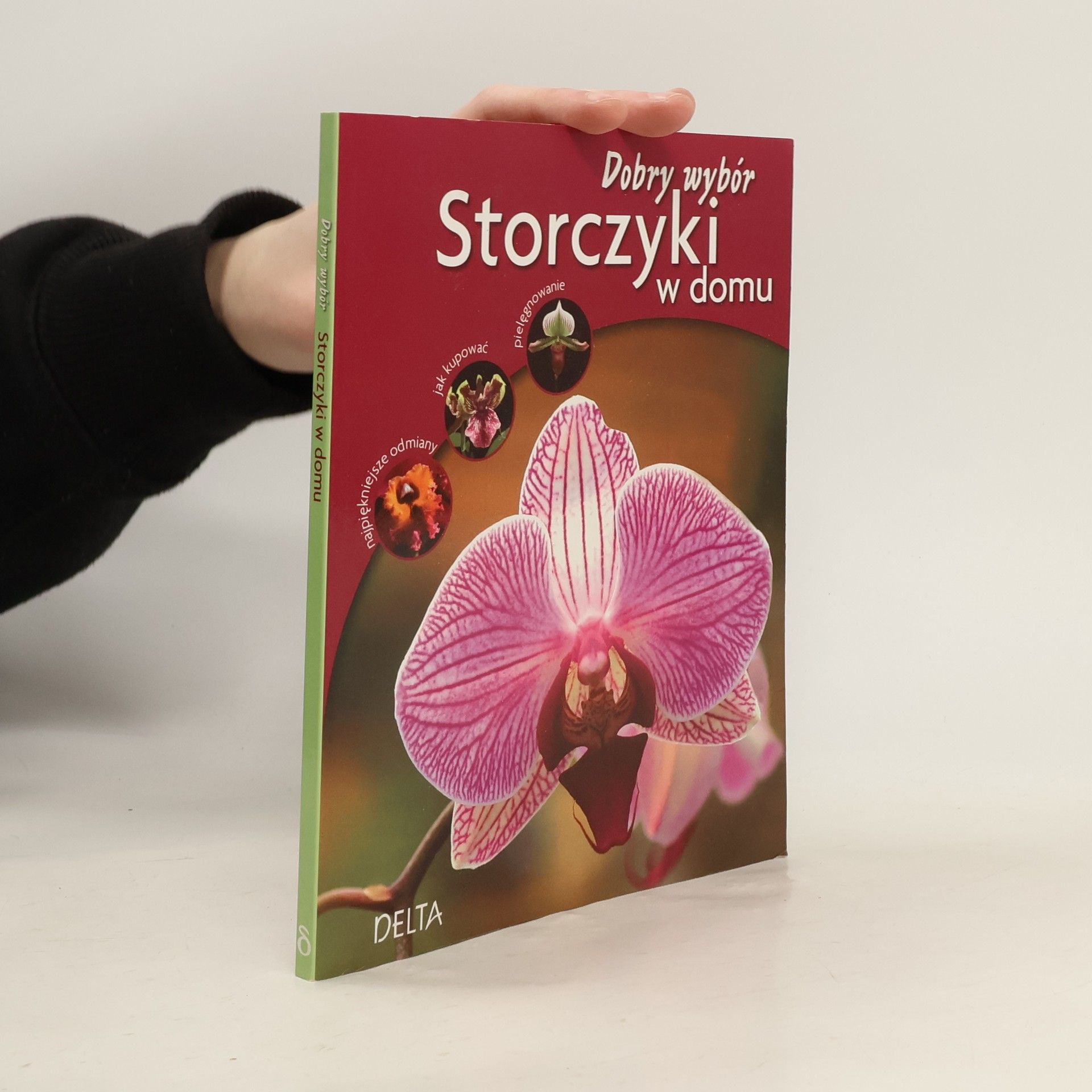 Odile Koenig Storczyki w domu