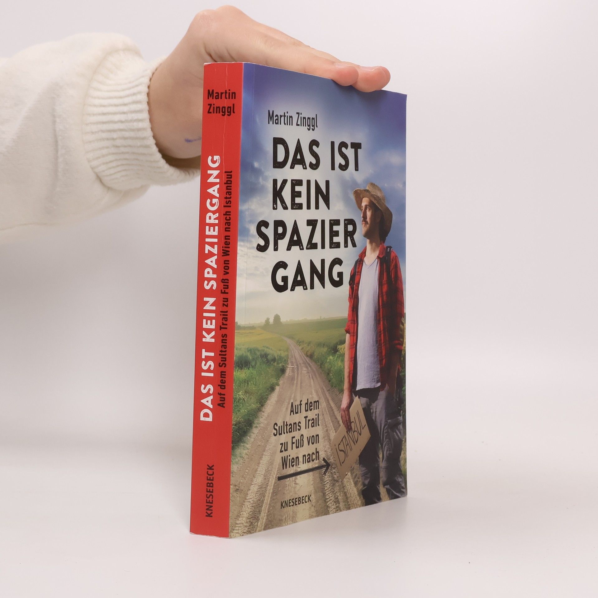 Martin Zinggl Das ist kein Spaziergang