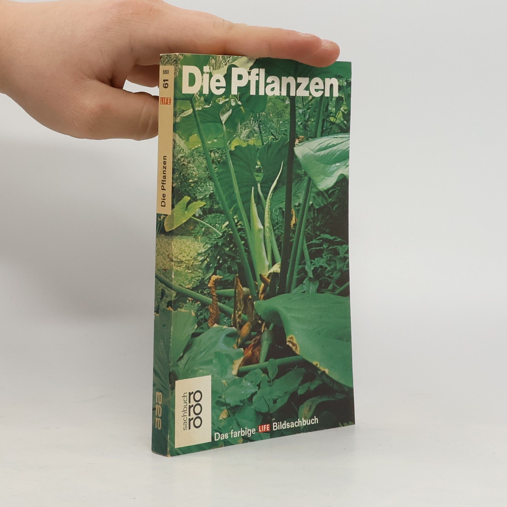 Frits Warmolt Went Die Pflanzen