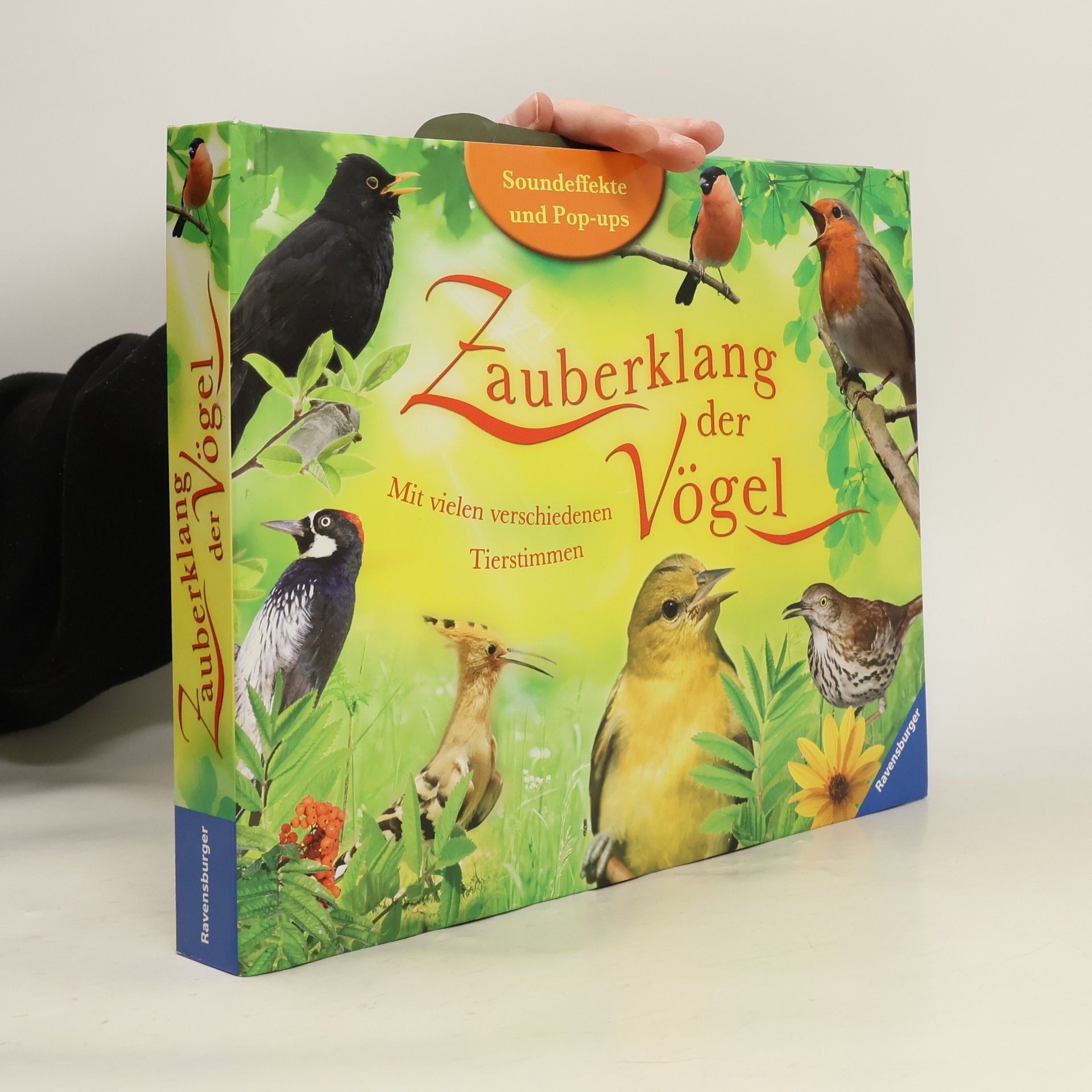 Maurice Pledger Zauberklang der Vögel