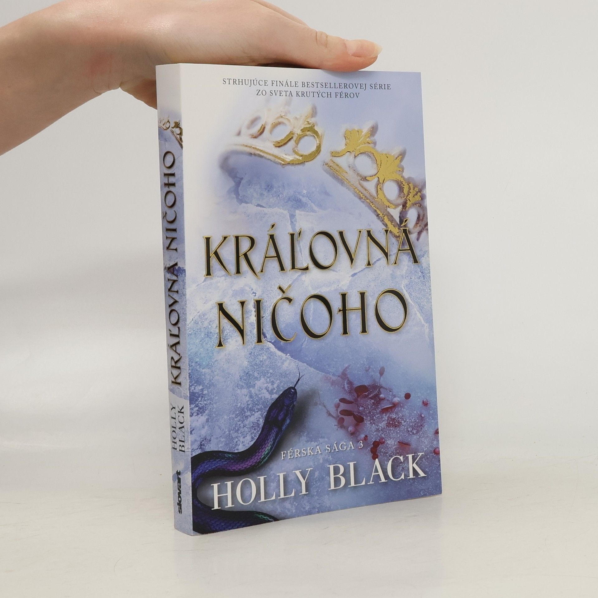 Holly Black Kráľovná ničoho