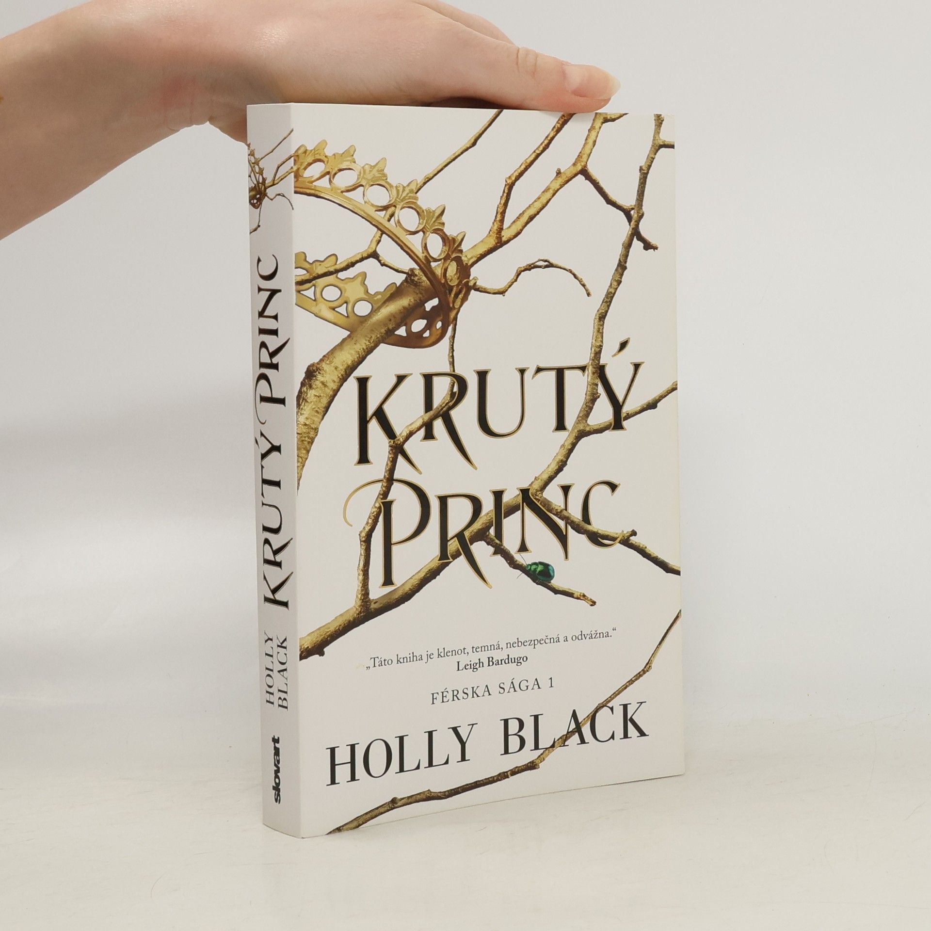 Holly Black Krutý princ