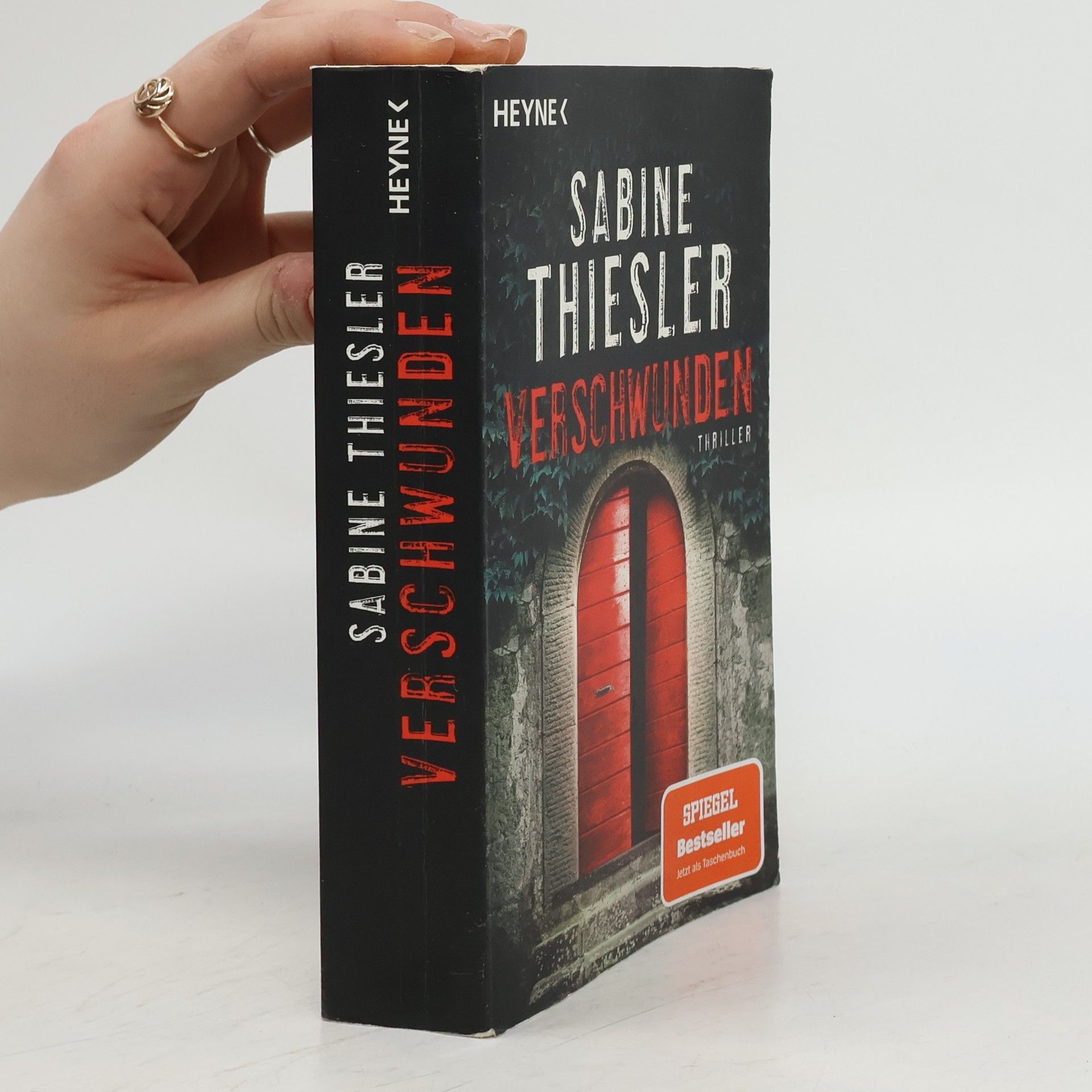 Sabine Thiesler Verschwunden