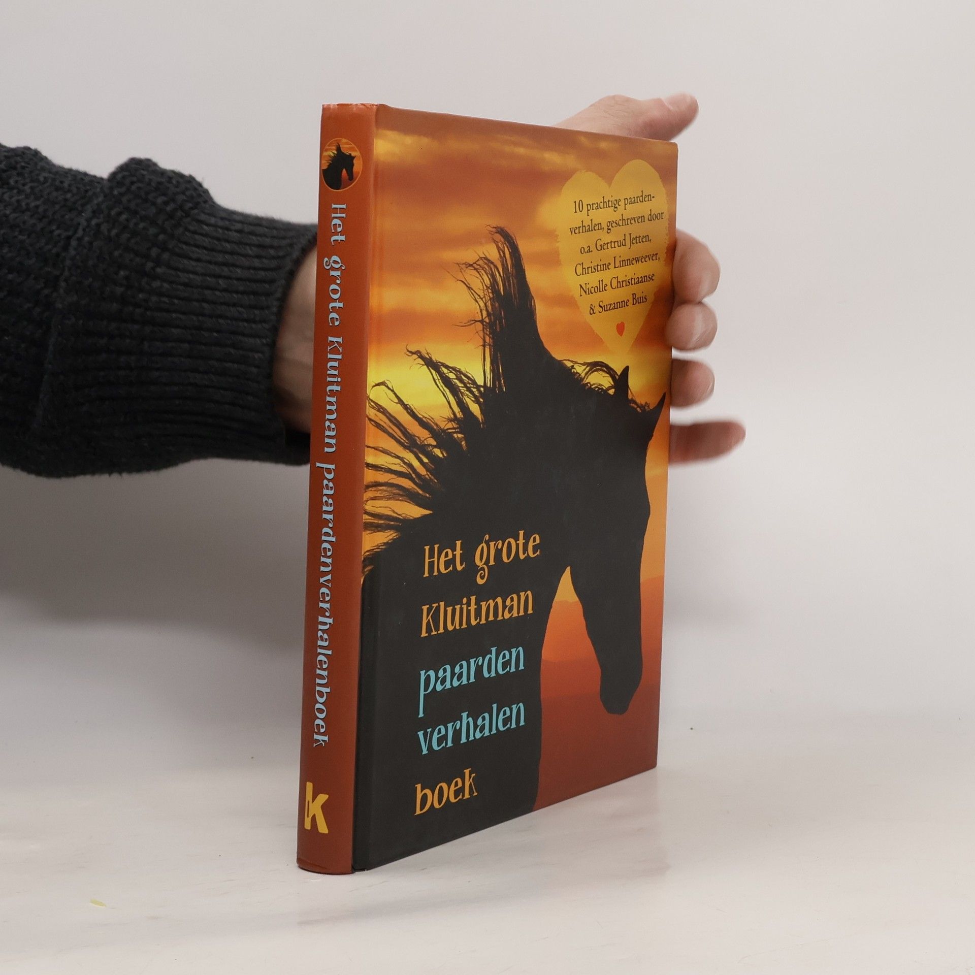 Het grote Kluitman paardenverhalenboek