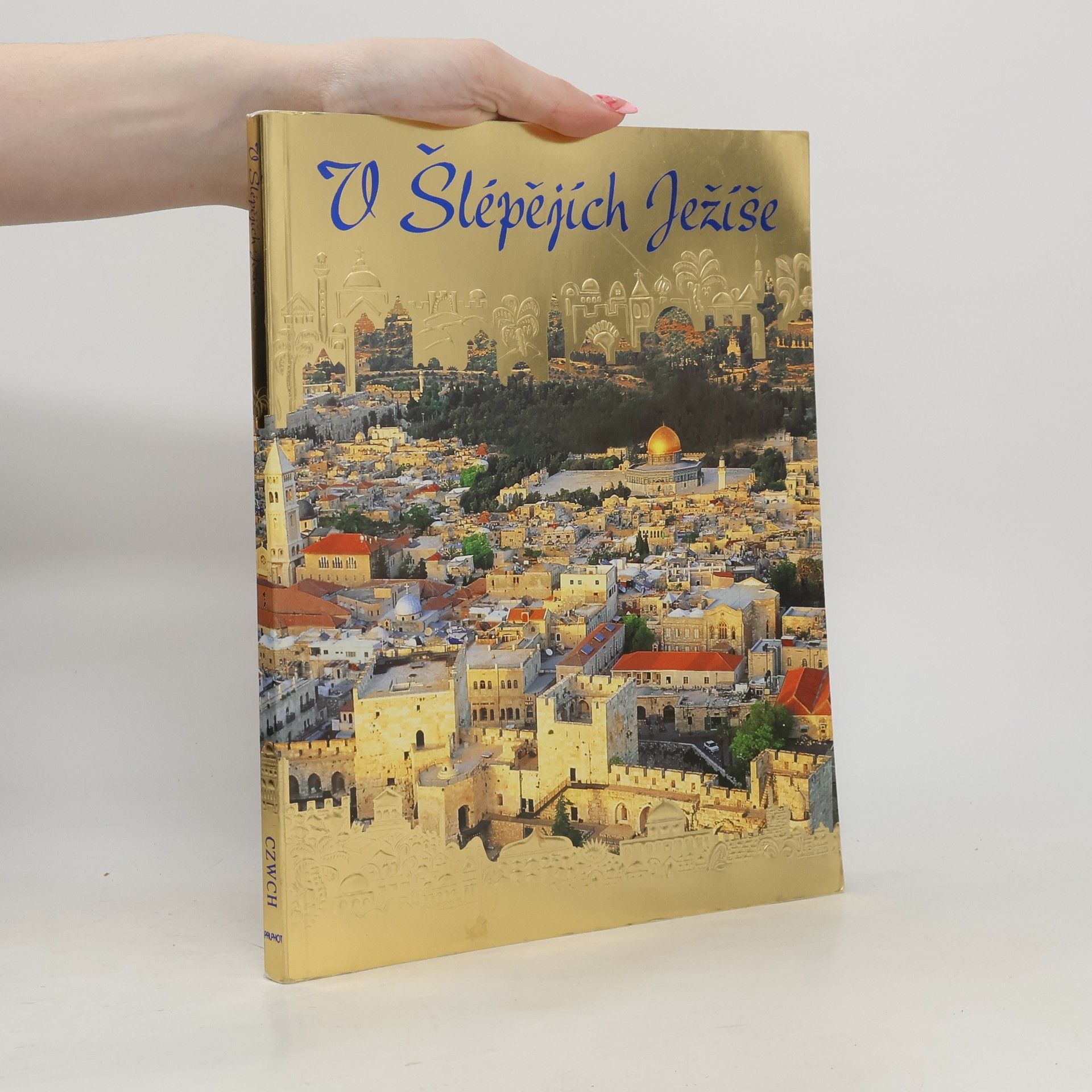 V šlépějích Ježíše. Poutník ve Svaté zemi