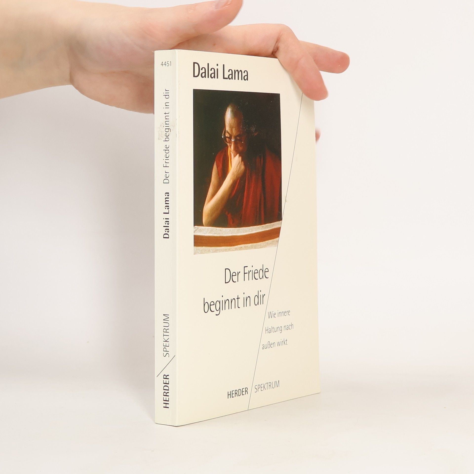 Dalaï-Lama Der Friede beginnt in dir