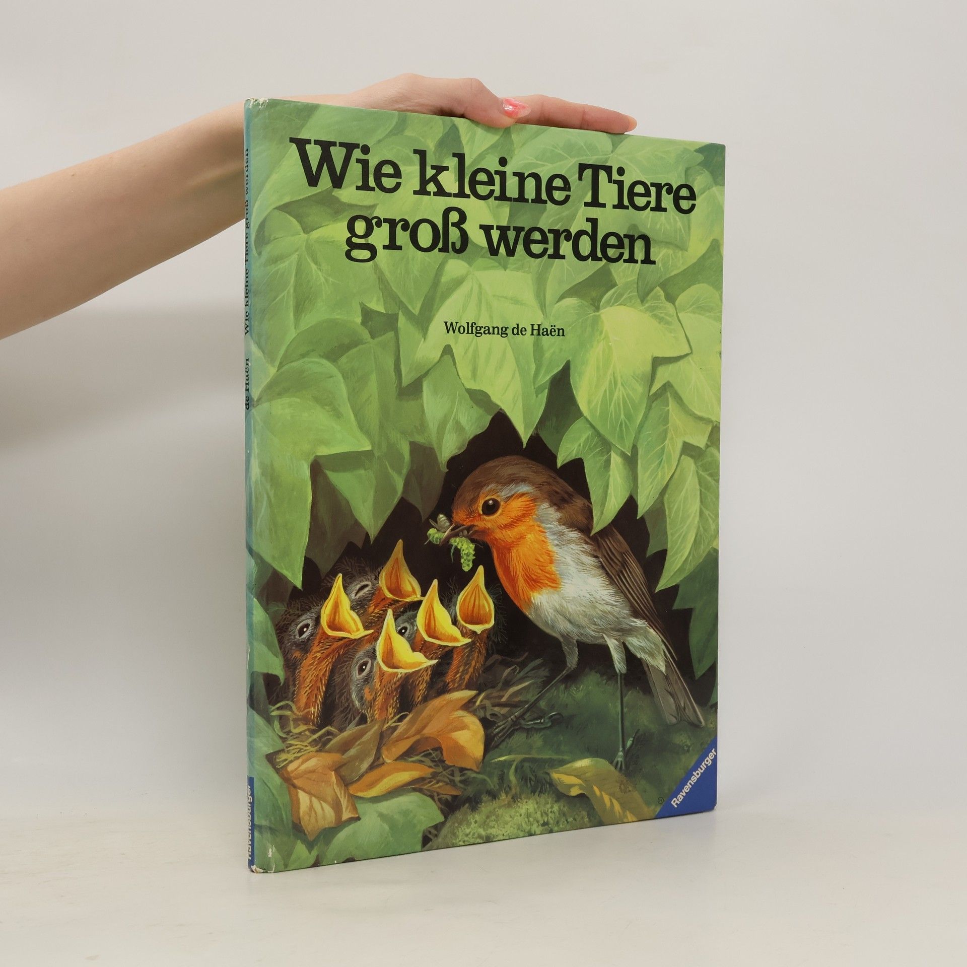 Wolfgang de Haen Wie kleine Tiere gross werden