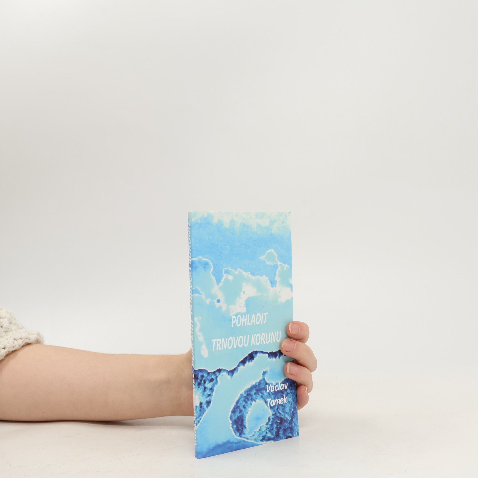 Pohladit trnovou korunu