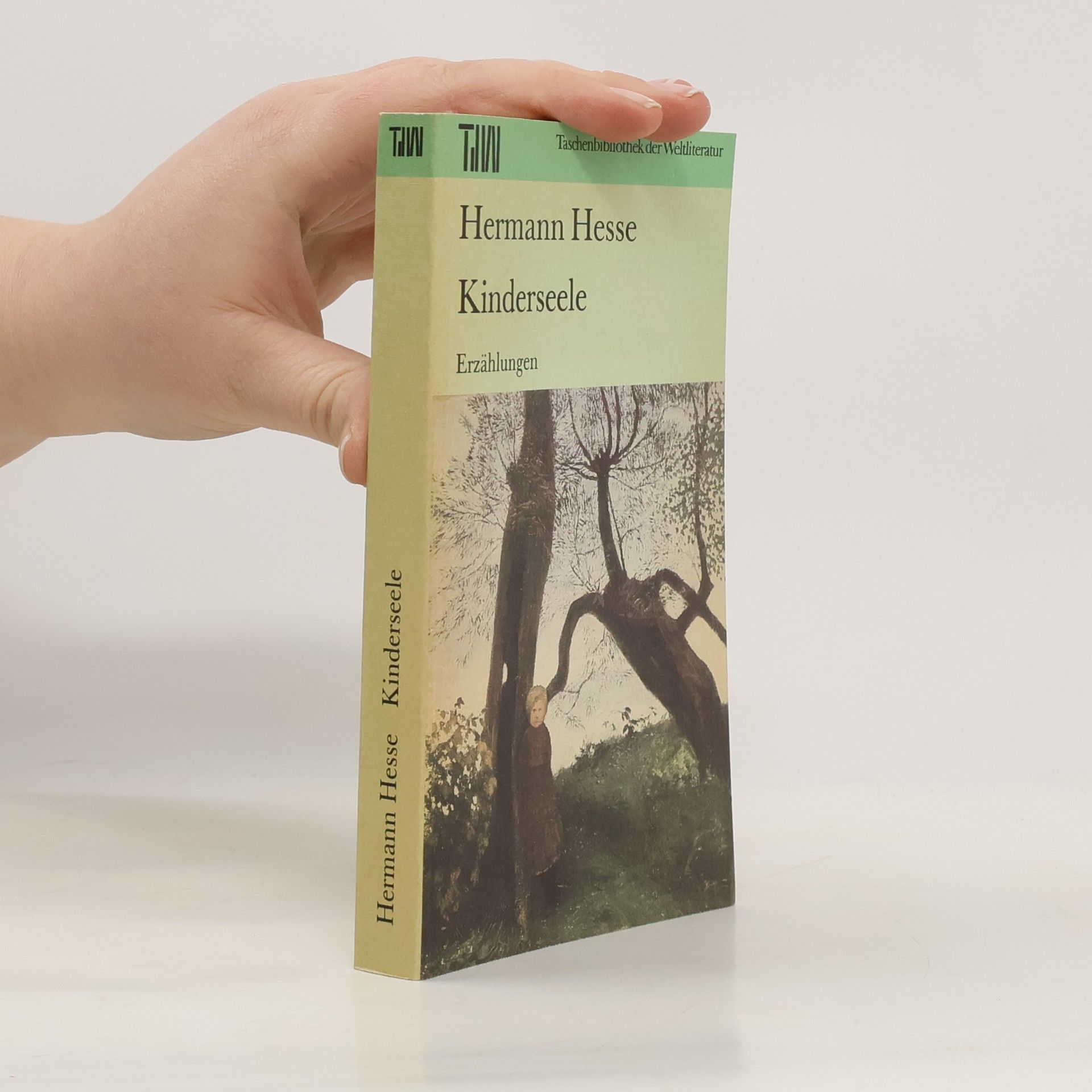 Hermann Hesse Kinderseele : Erzählungen