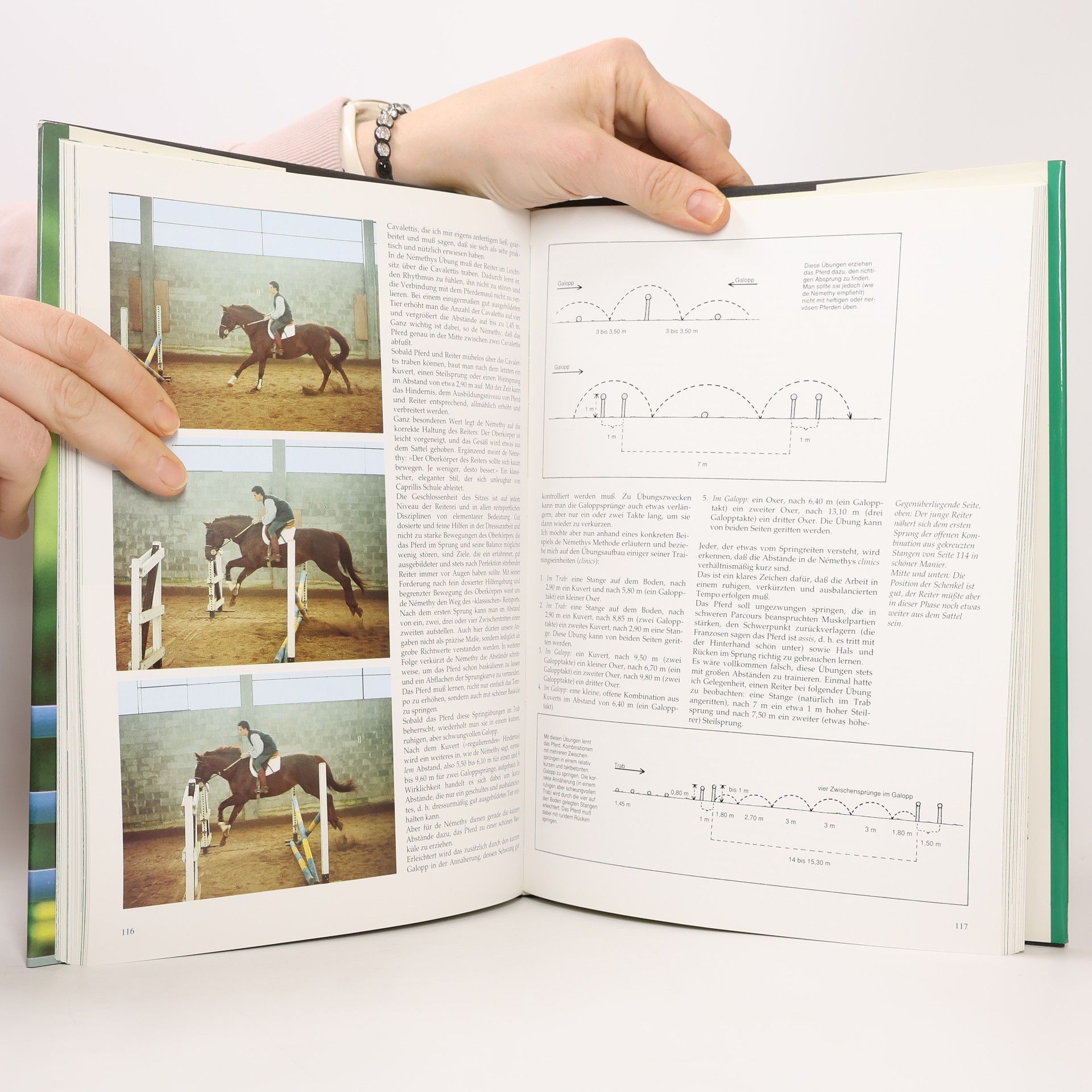 Luciano De Maria Das grosse Buch vom Reiten