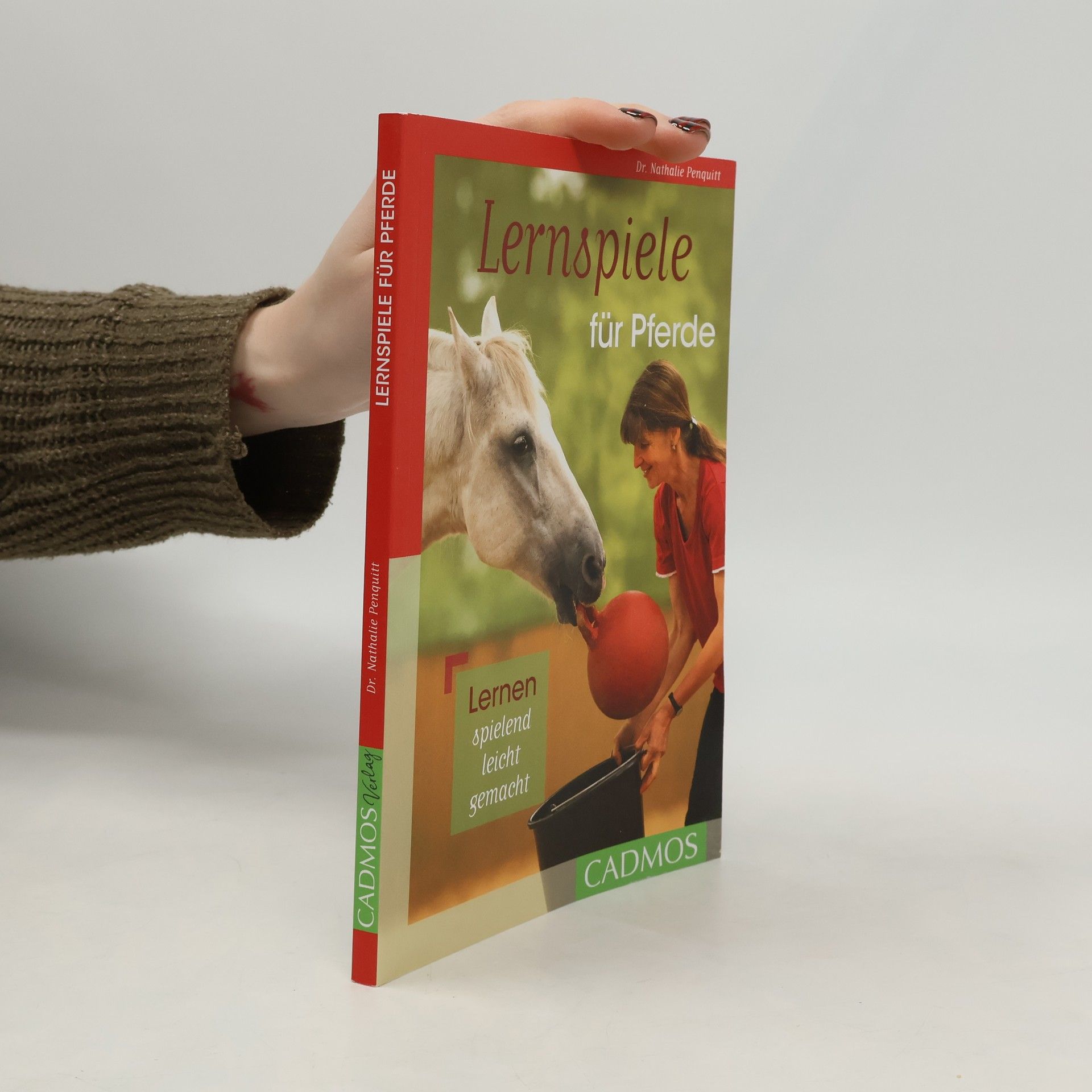 Lernspiele für Pferde