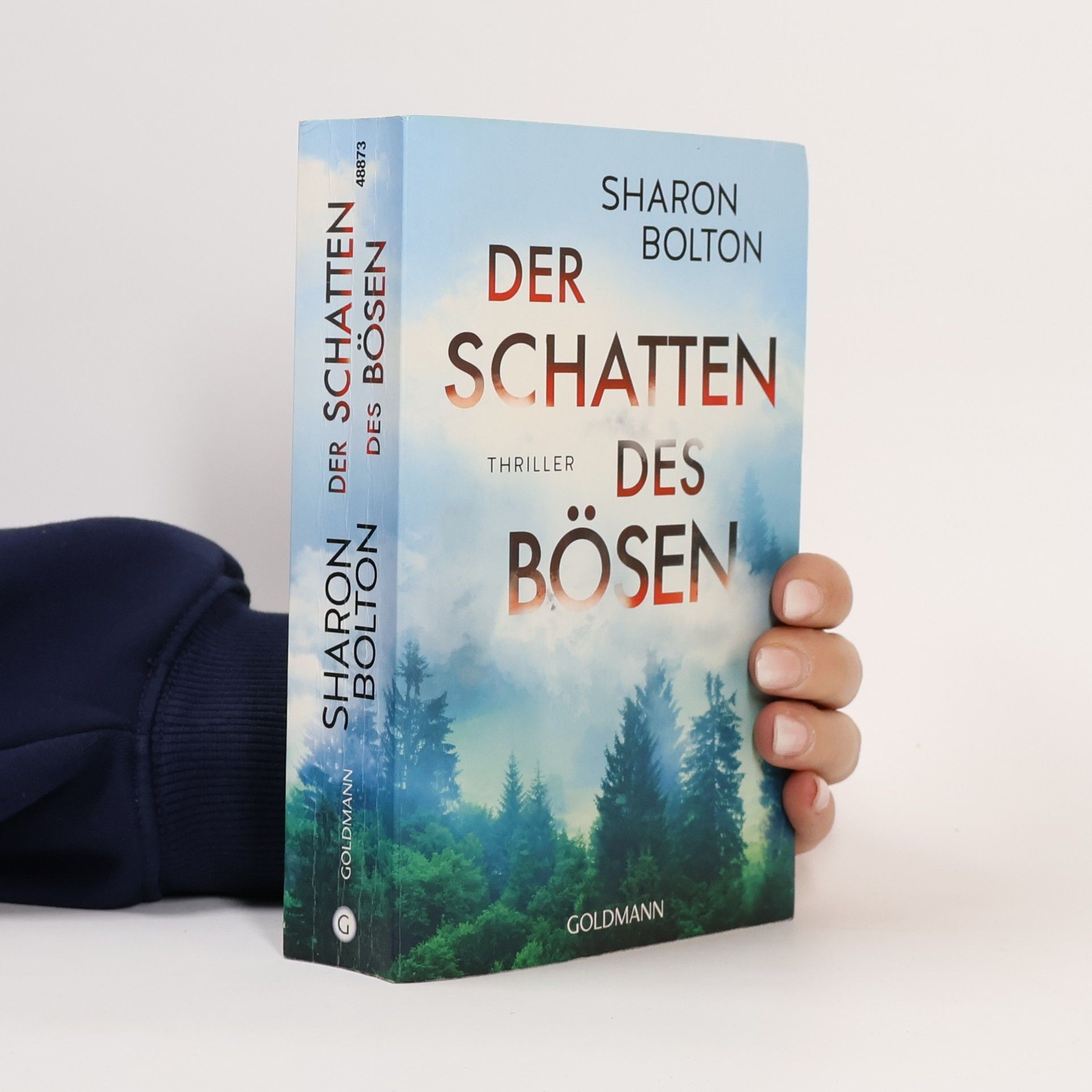 S. J. Bolton Der Schatten des Bösen
