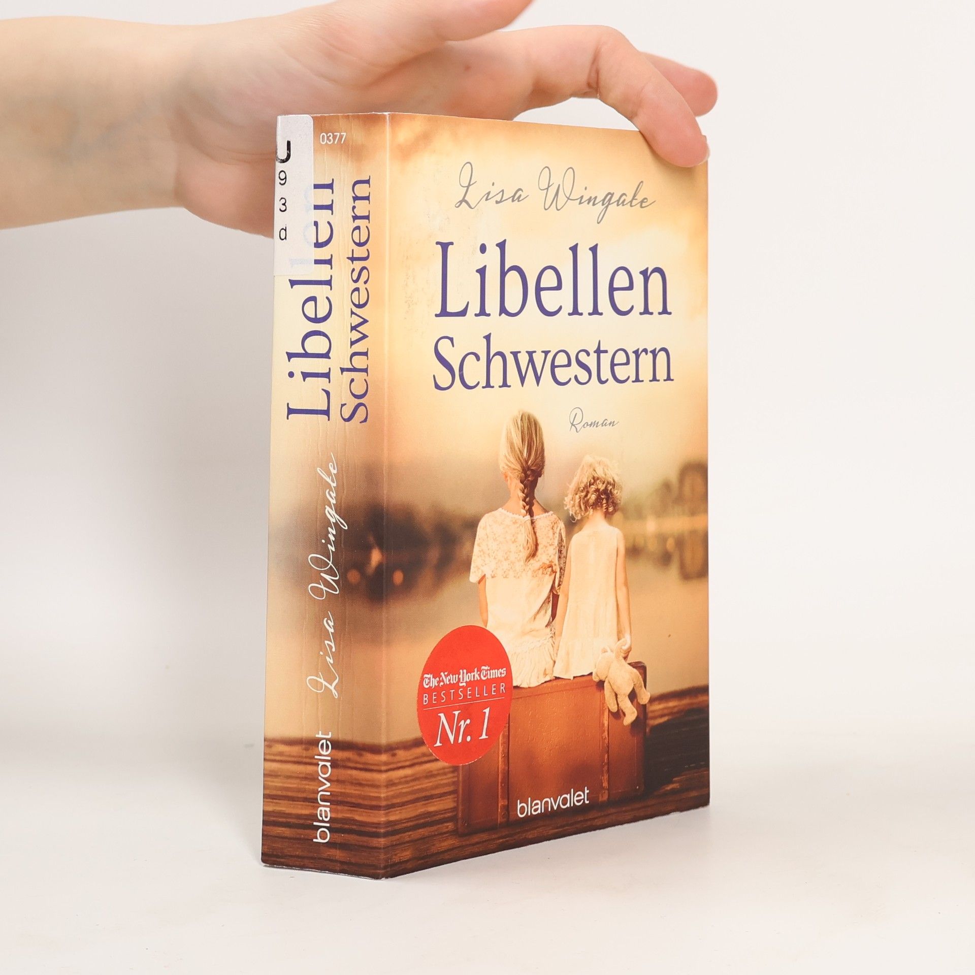 Lisa Wingate Libellenschwestern