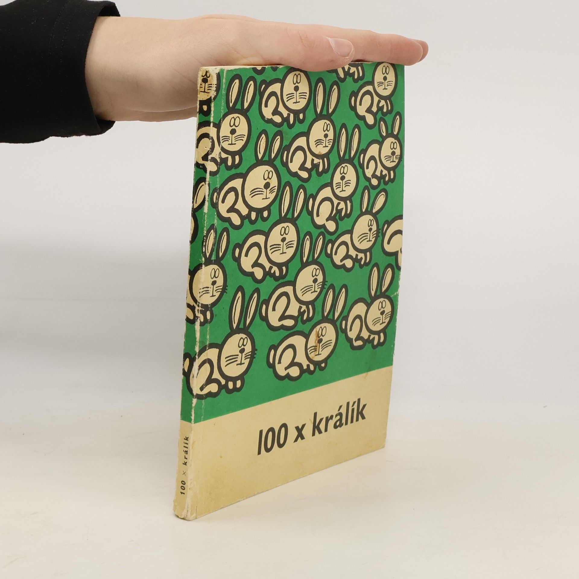 AA.VV. 100 × králík