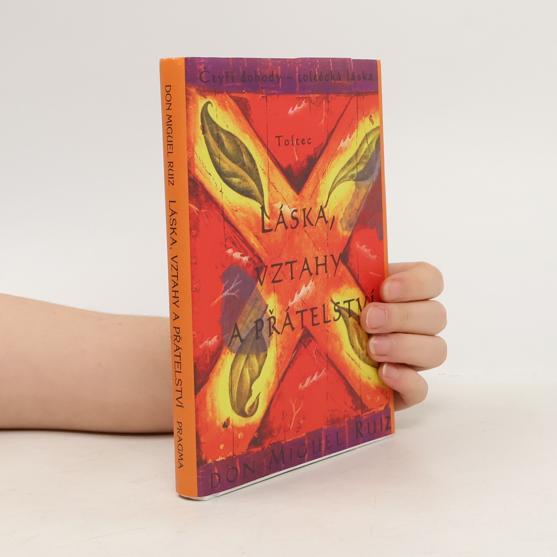 Don Miguel Ruiz Láska, vztahy a přátelství