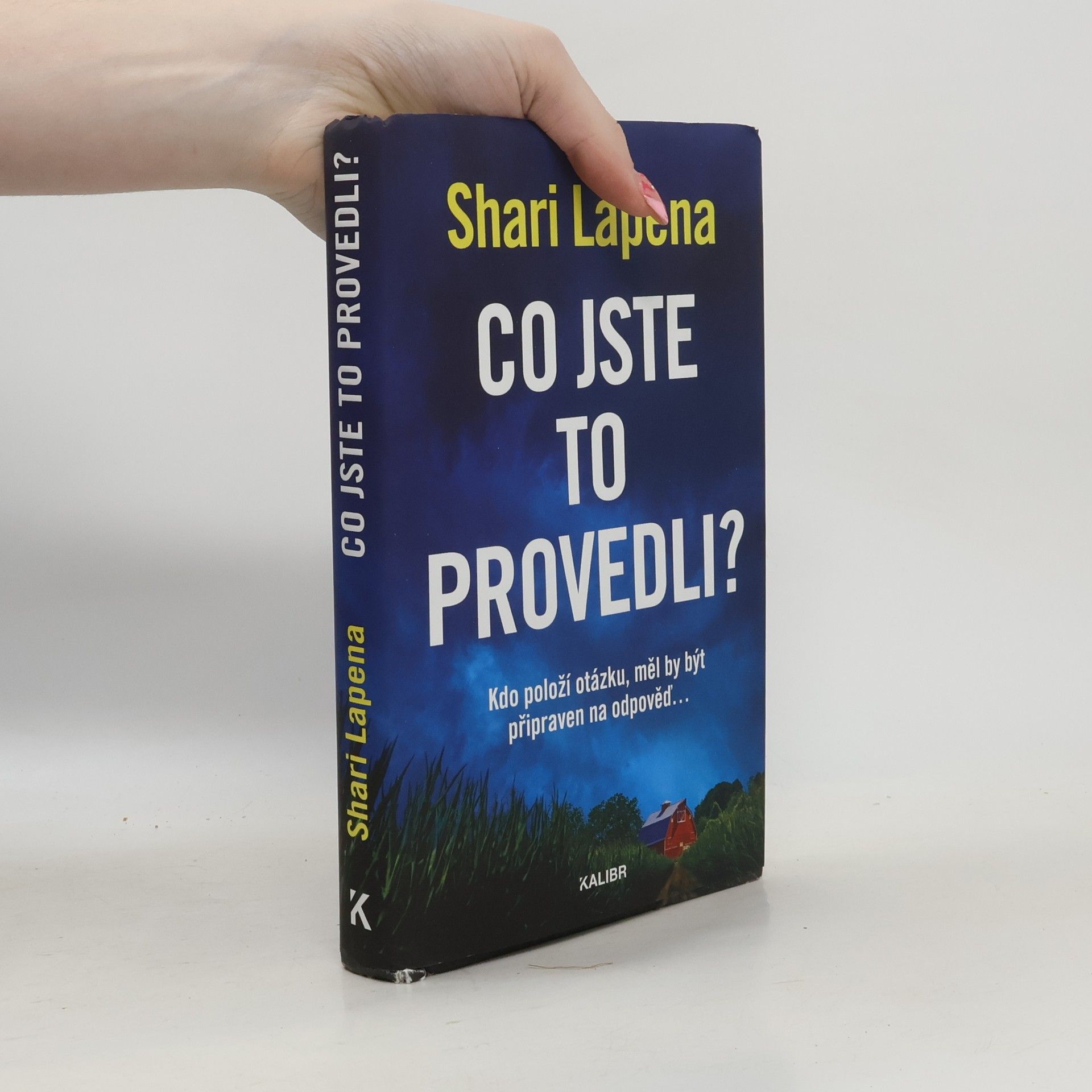 Shari Lapena Co jste to provedli?