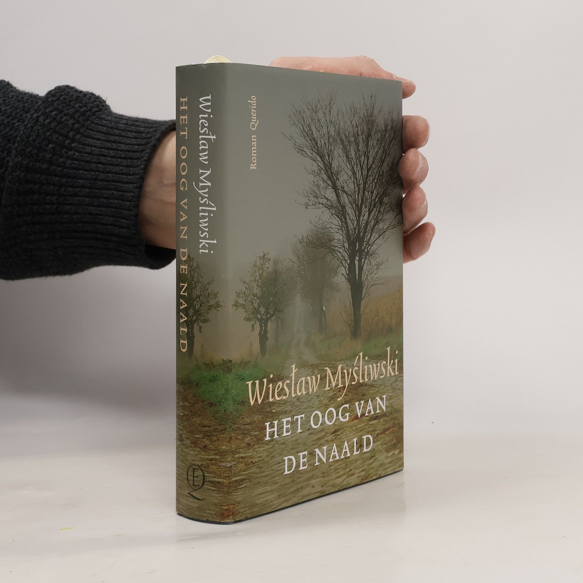 Het oog van de naald