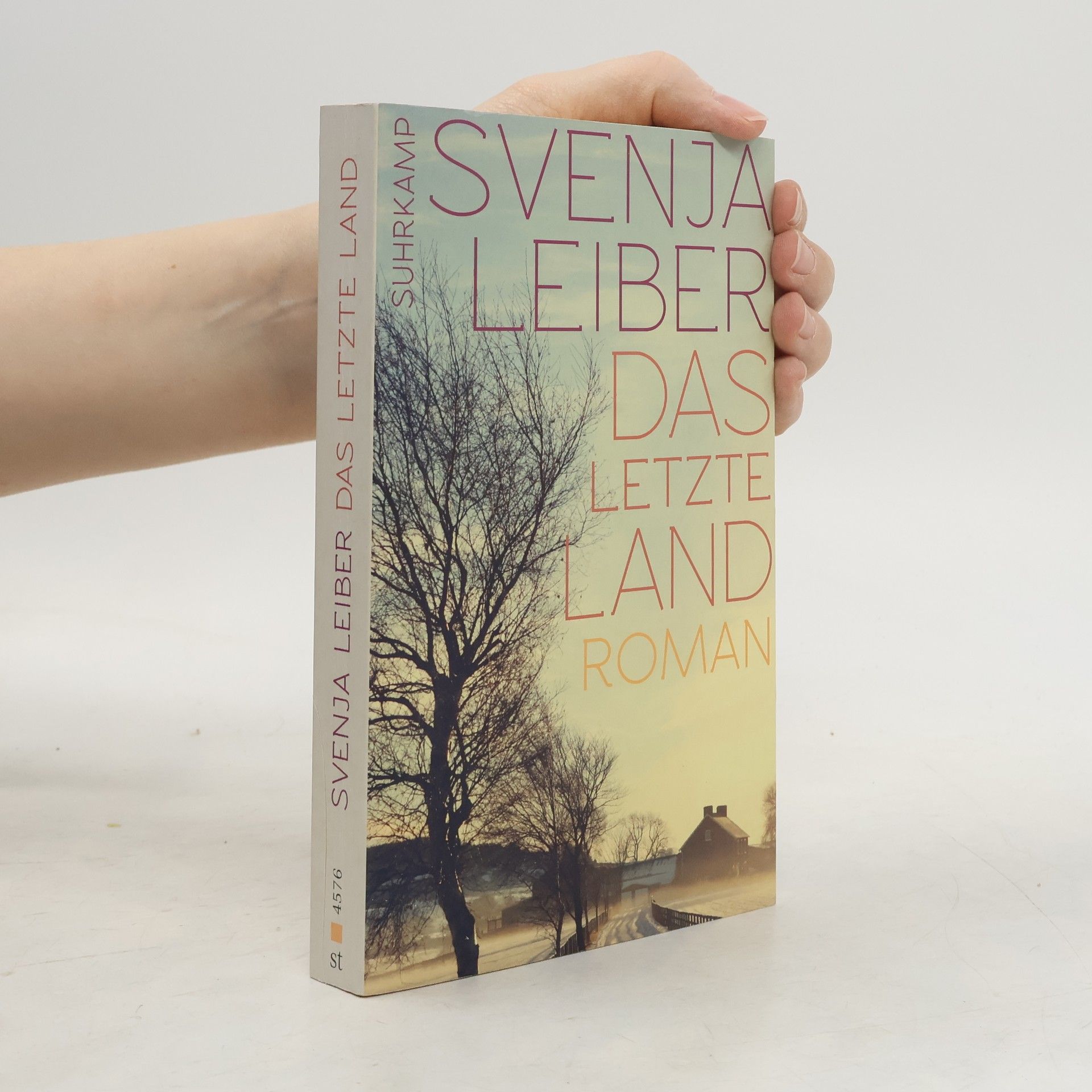 Svenja Leiber Das letzte Land