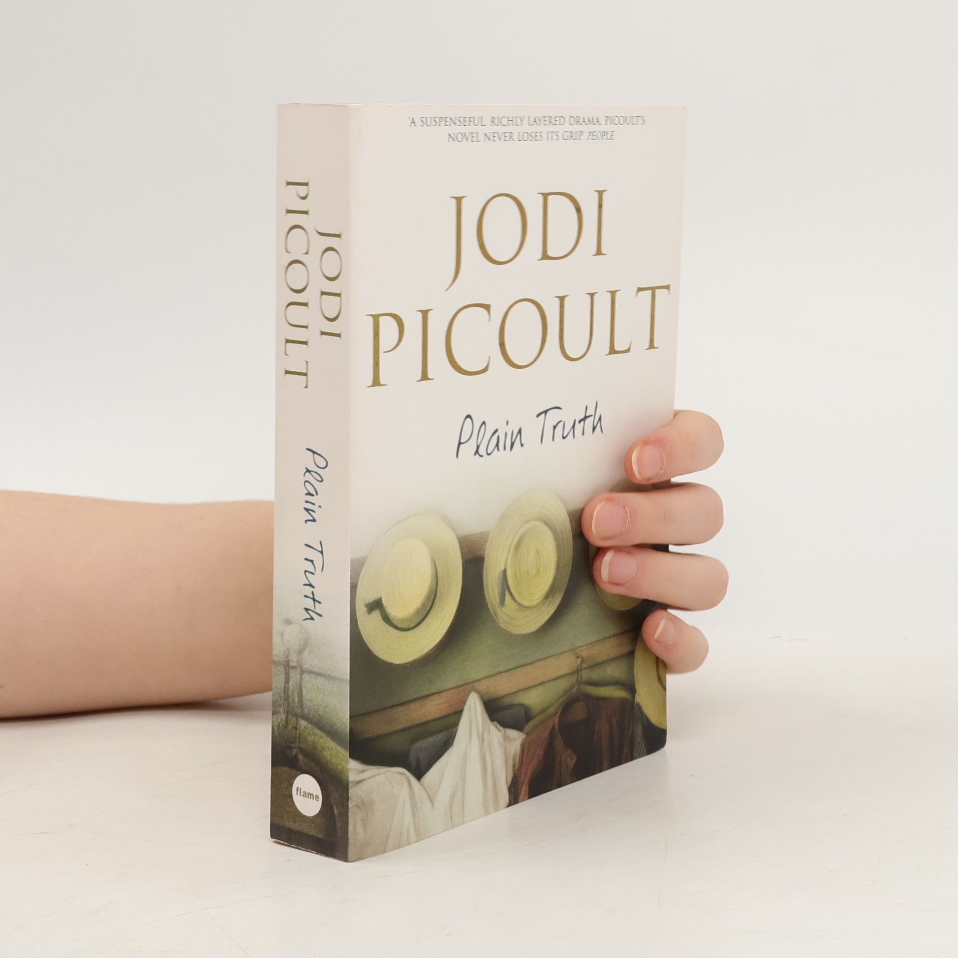 Jodi Picoult Plain truth
