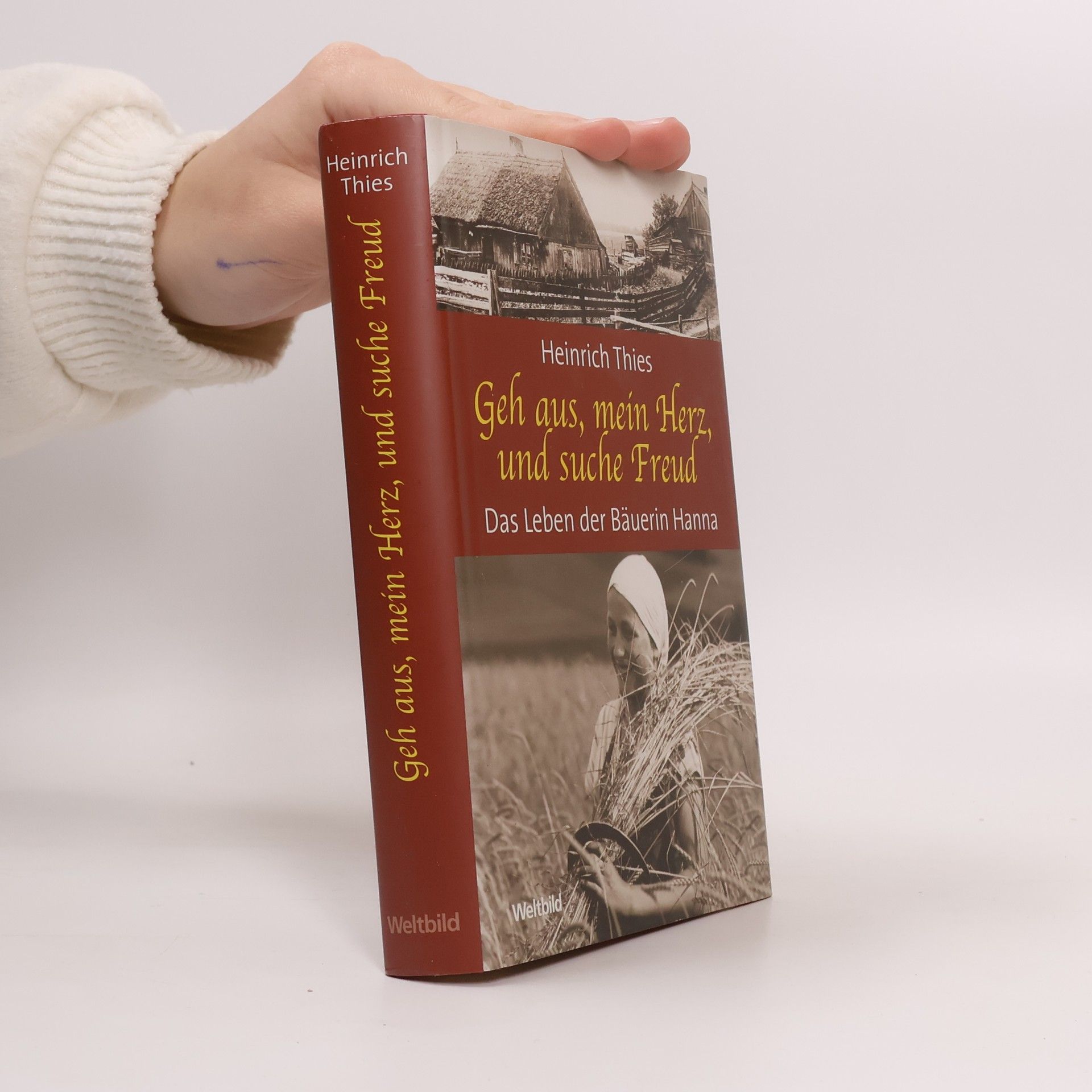 Heinrich Thies Geh aus, mein Herz, und suche Freud