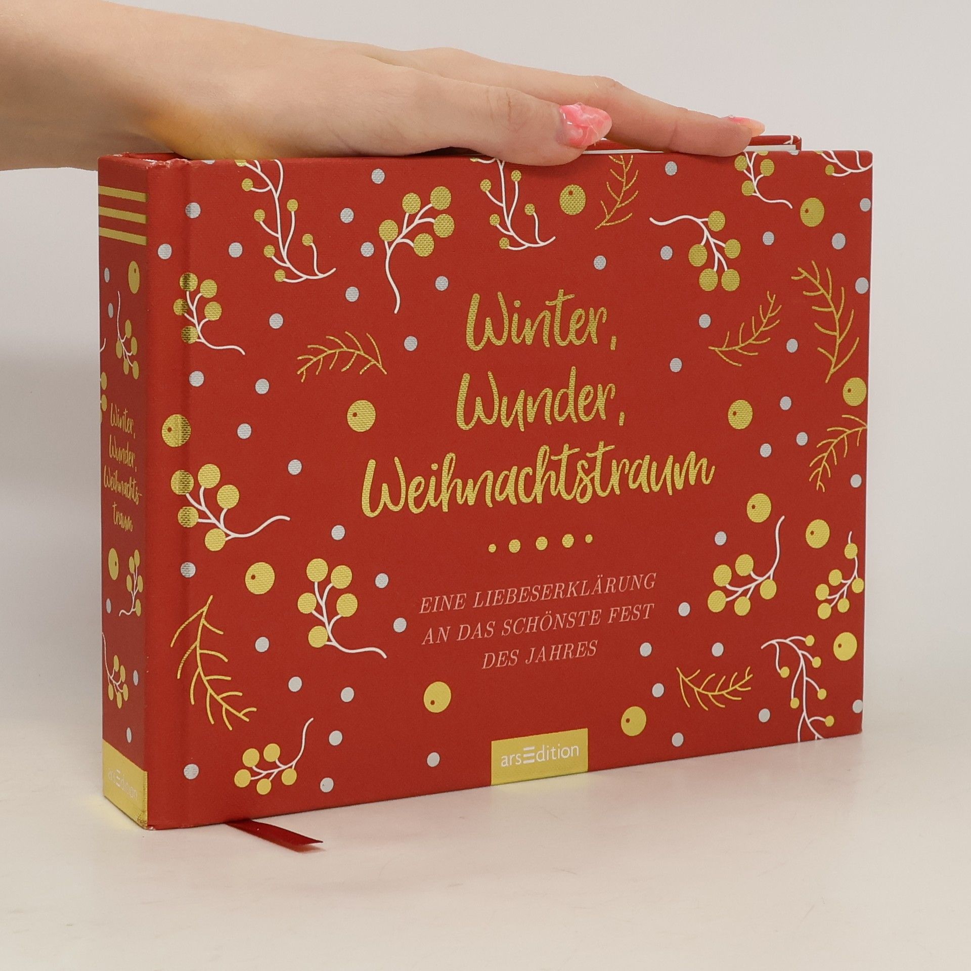 Autores varios Winter, Wunder, Weihnachtstraum