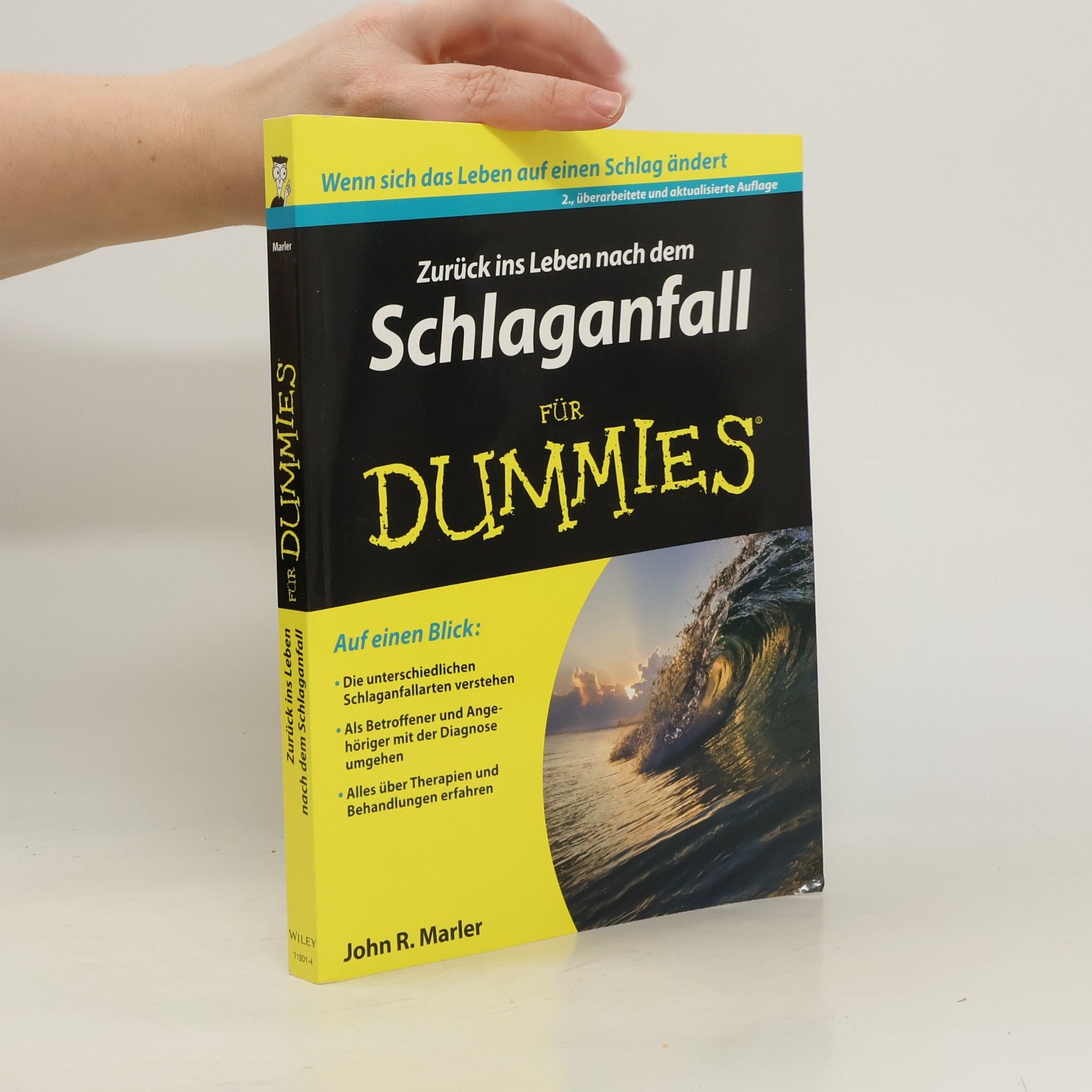 Zurück ins Leben nach dem Schlaganfall für Dummies - 2., überarbeitete und aktualisierte Auflage