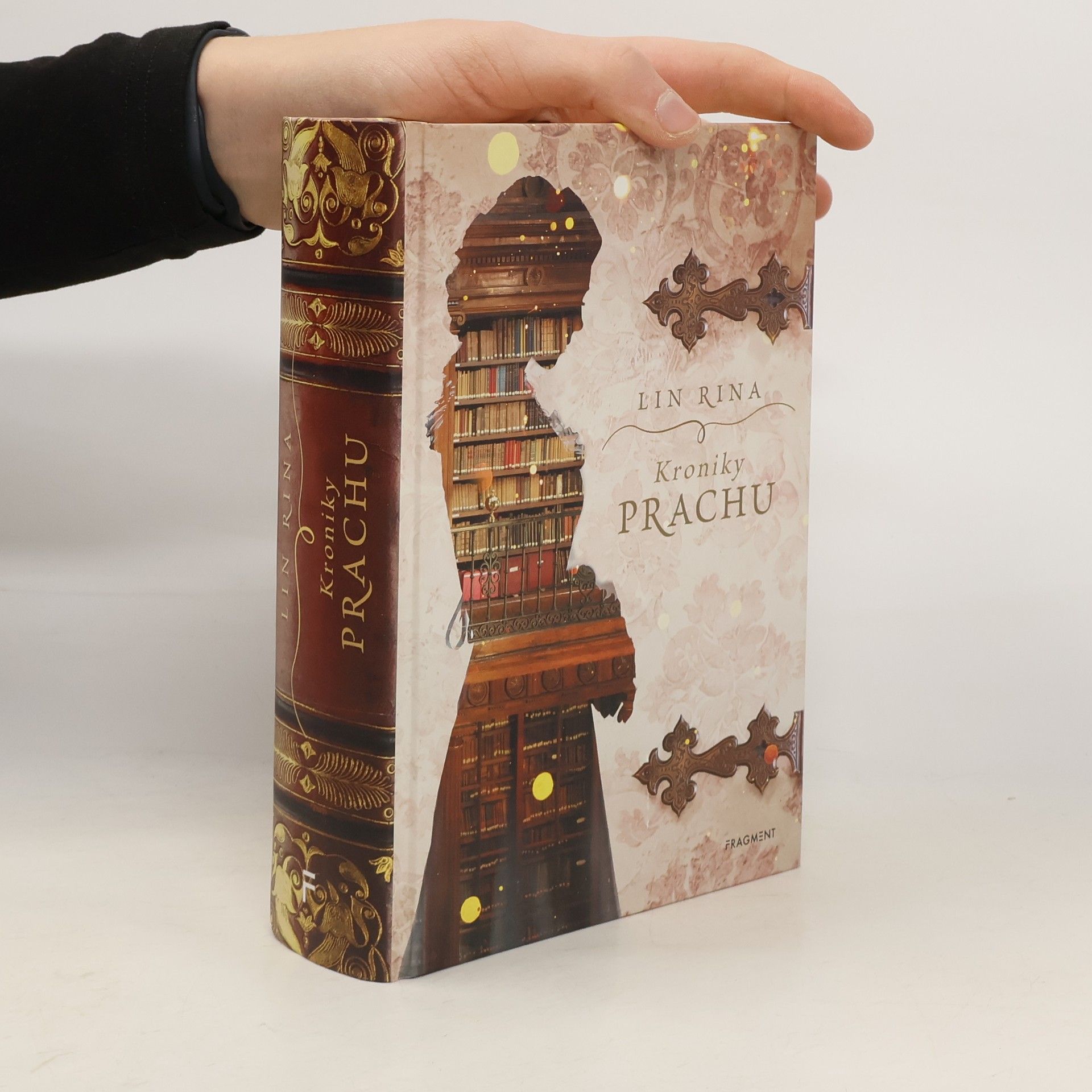 Lin Rina Kroniky prachu