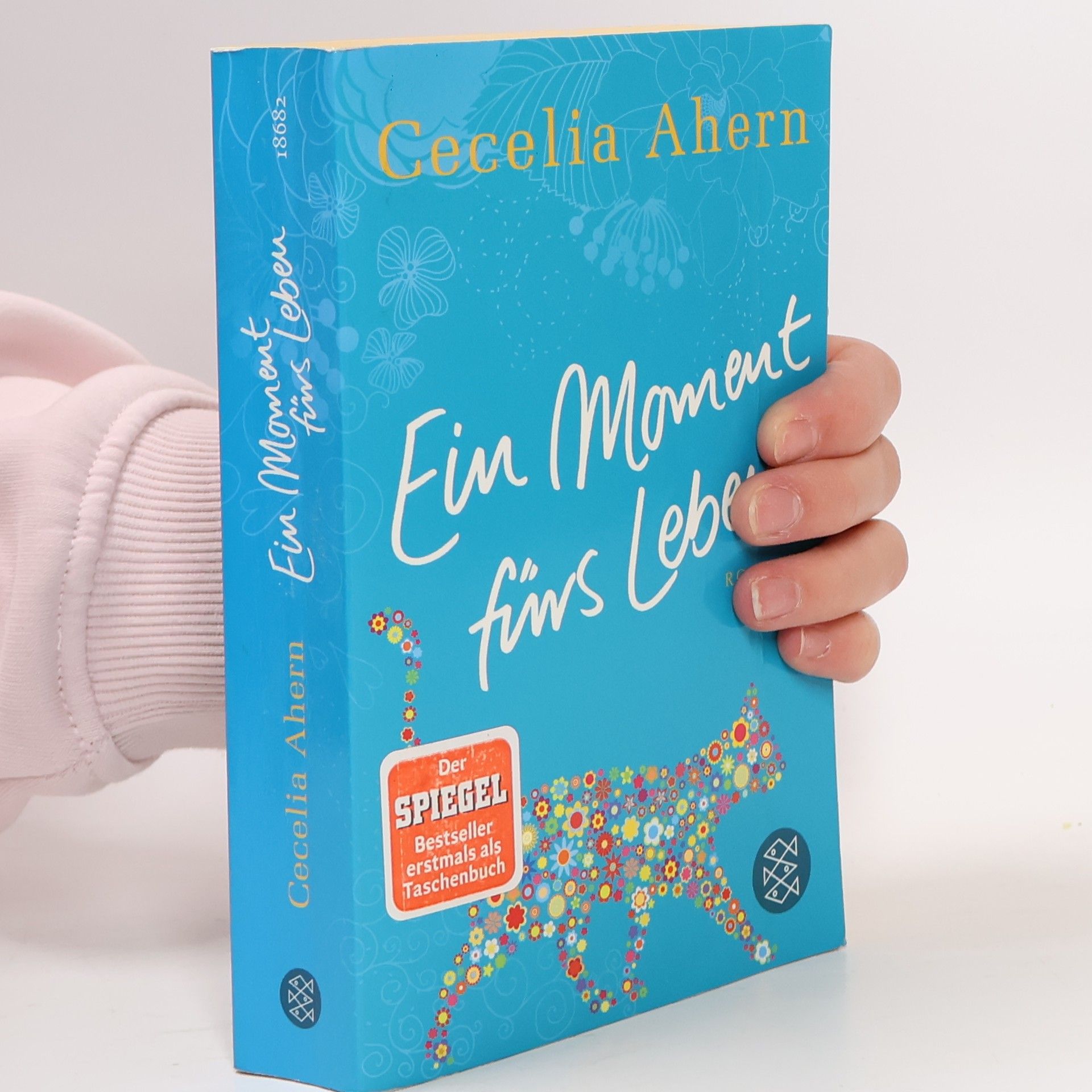 Cecelia Ahern Ein Moment fürs Leben