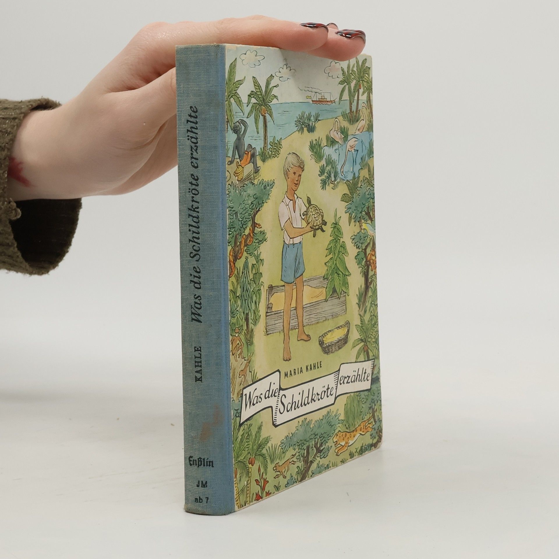 Was die Schildkröte erzählte