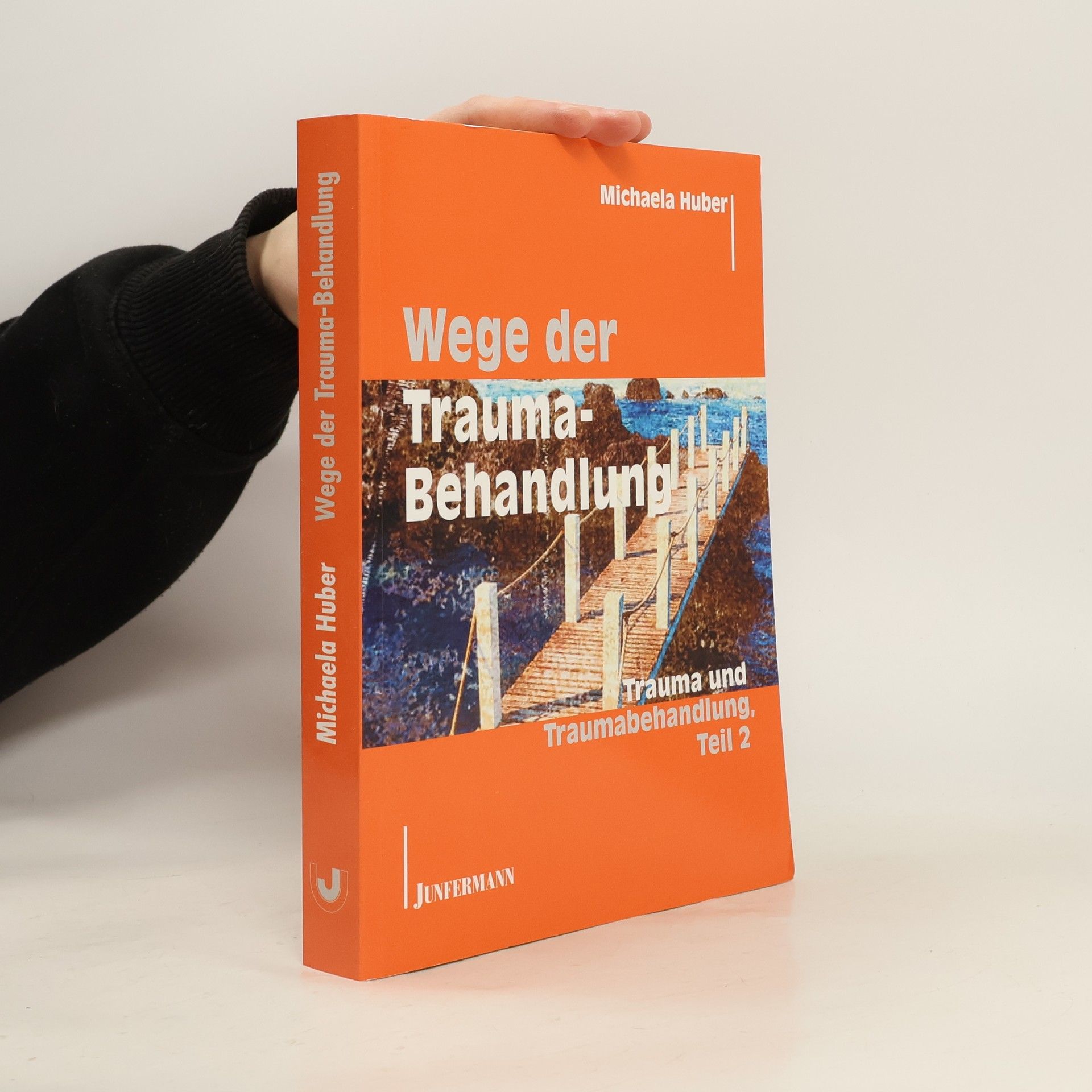 Michaela Huber Trauma und Traumabehandlung 2