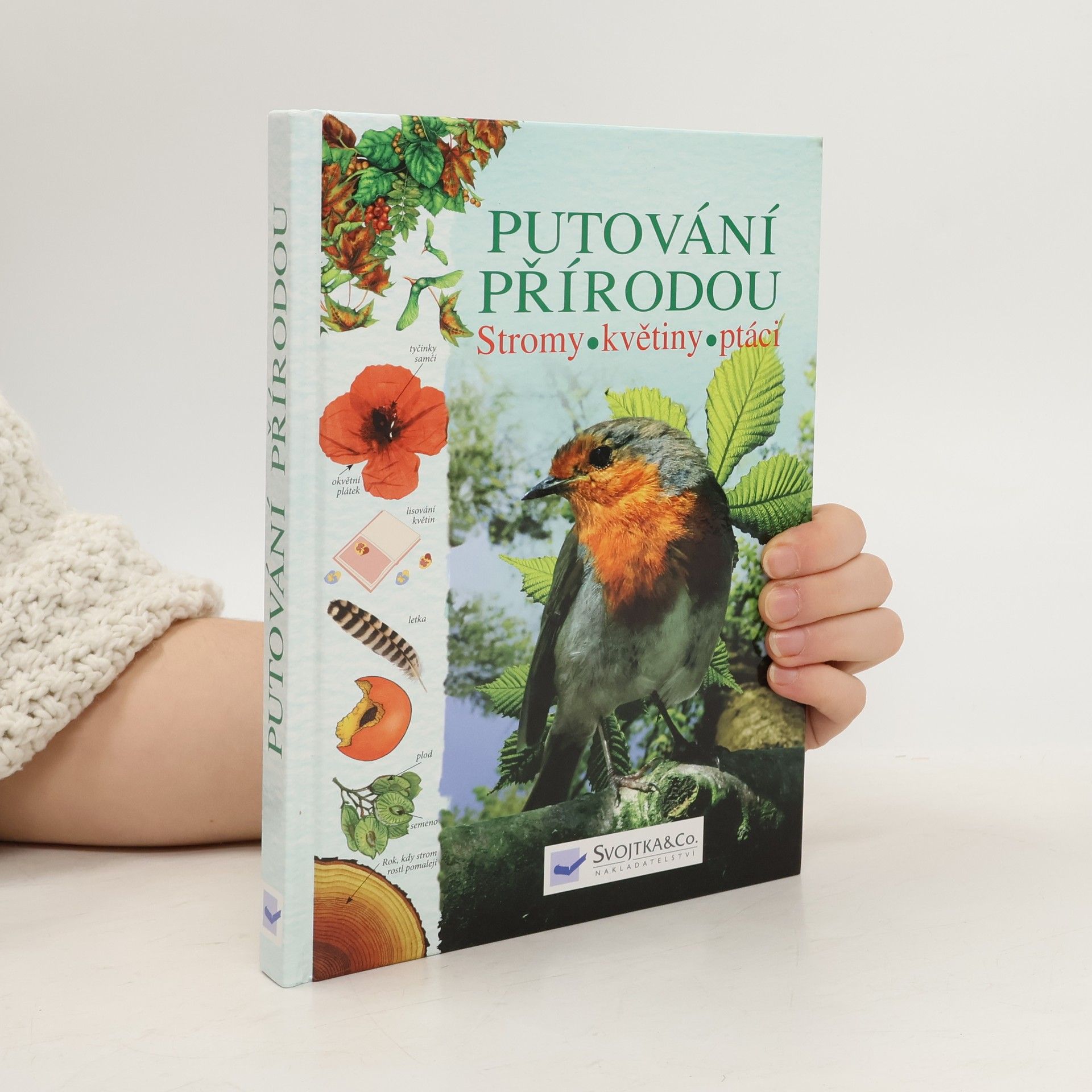 Kolektiv autorů Putování přírodou: Stromy, květiny, ptáci