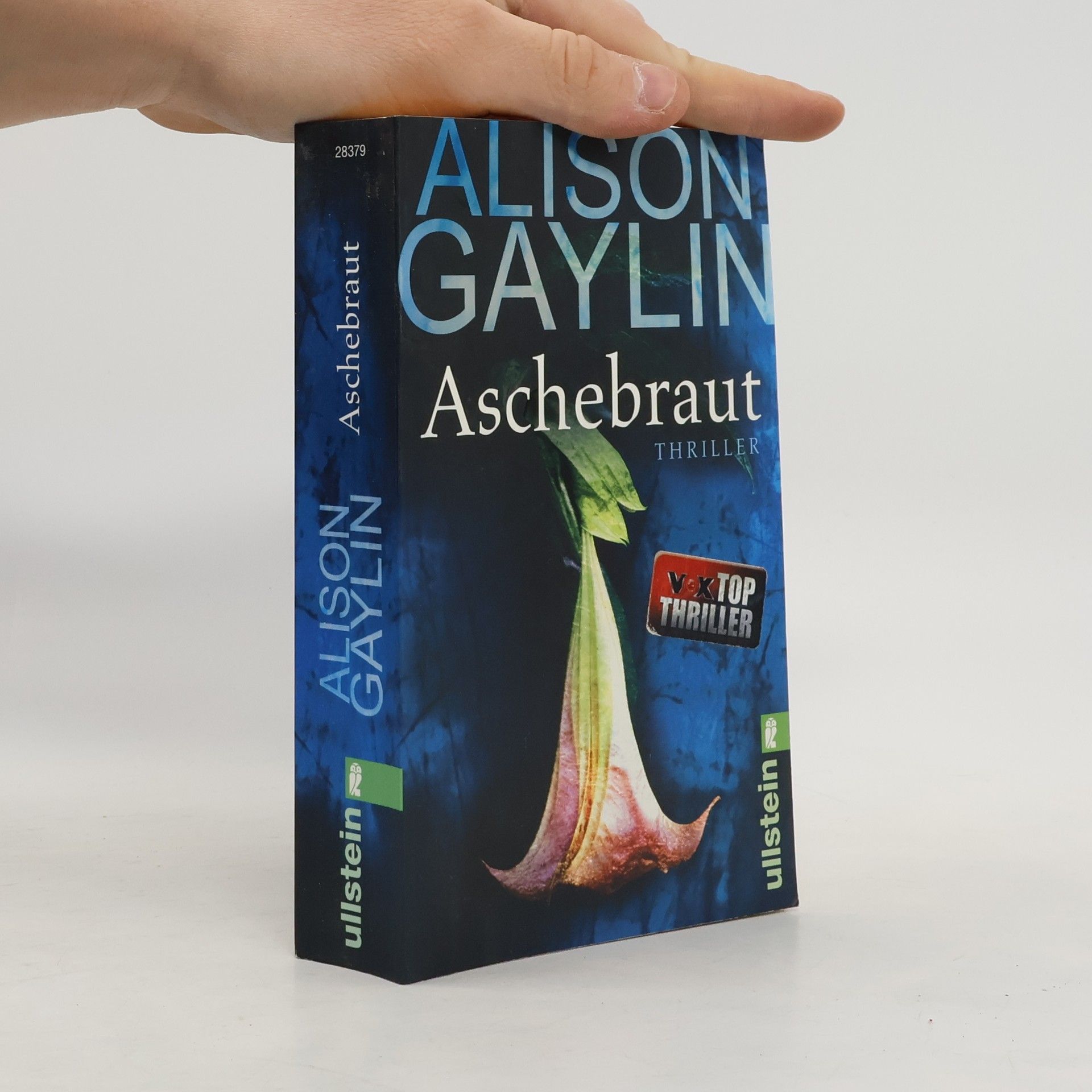 Alison Gaylin Aschebraut