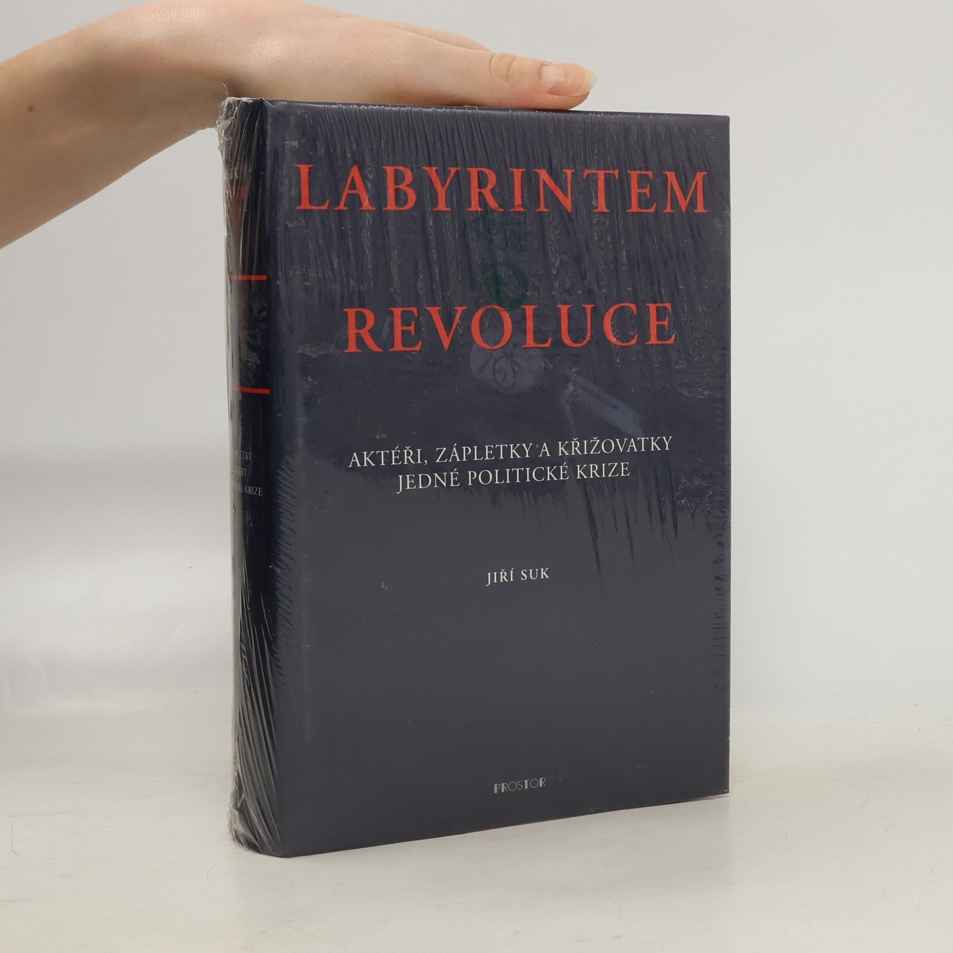 Jiří Suk Labyrintem revoluce. Aktéři, zápletky a křižovatky jedné politické krize (od listopadu 1989 do června 1990)