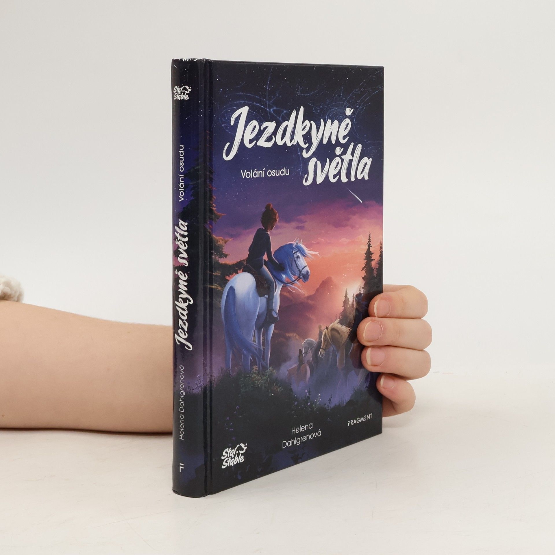 Helena Dahlgren Jezdkyně světla. Volání osudu