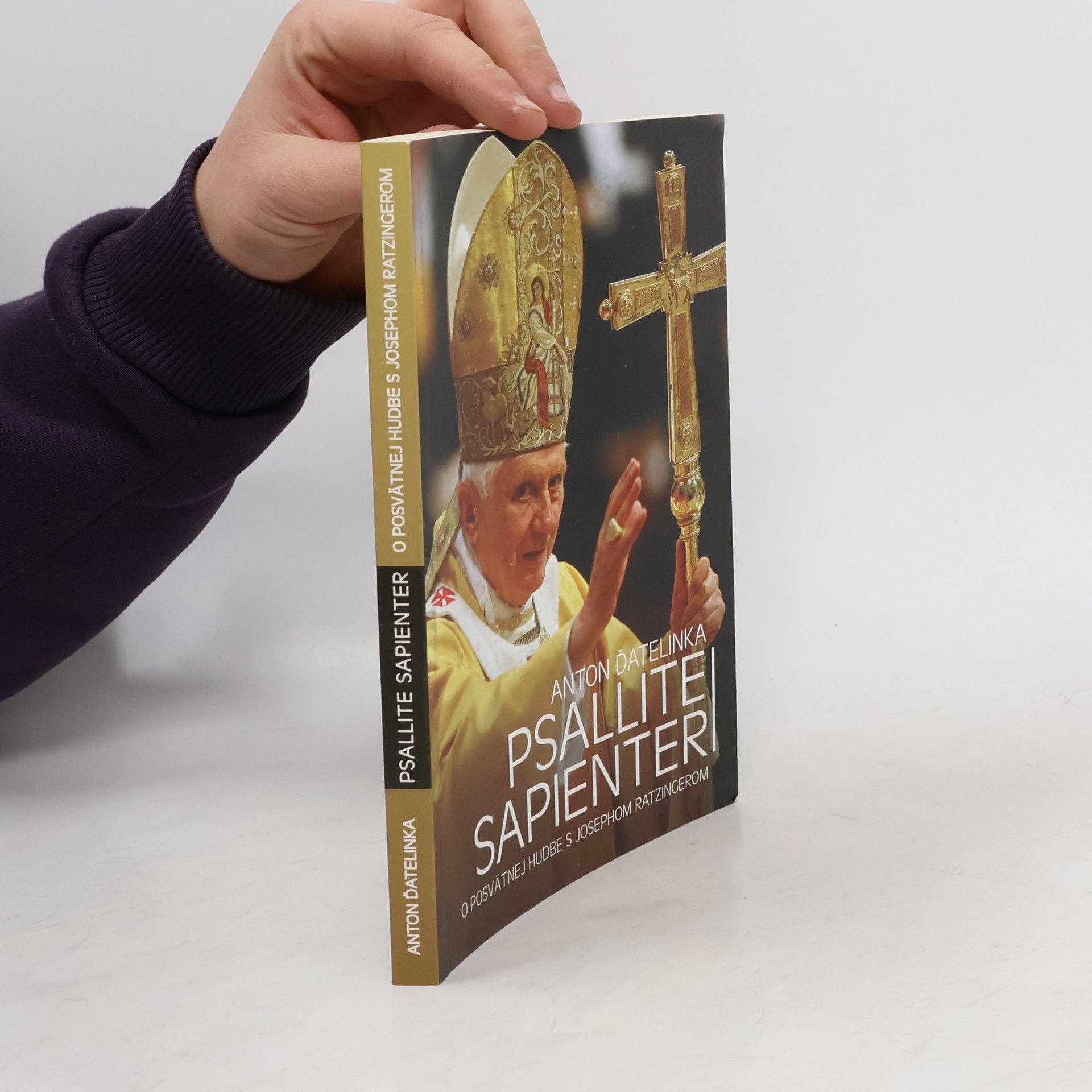 Psallite sapienter : o posvätnej hudbe s Josephom Ratzingerom