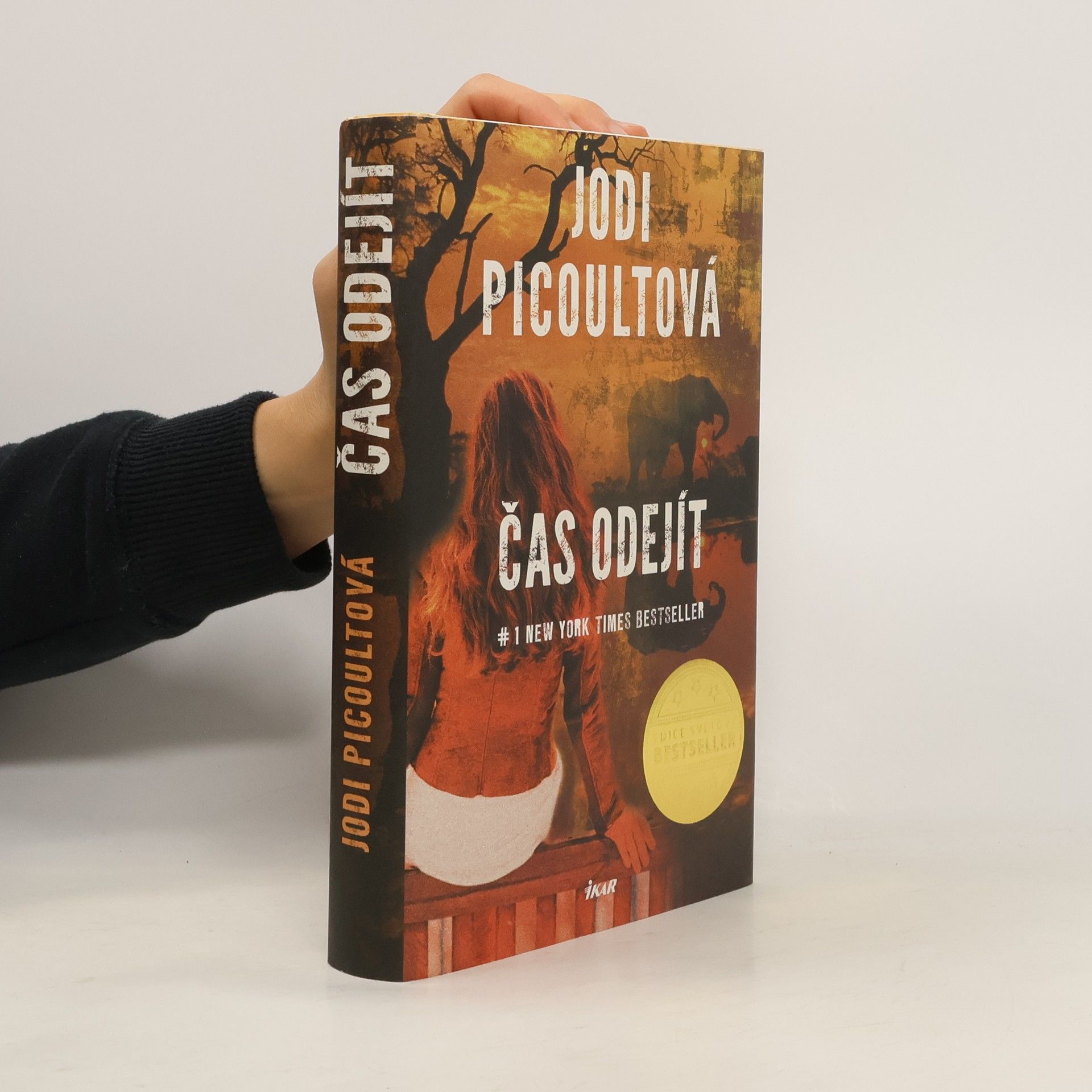 Jodi Picoult Čas odejít