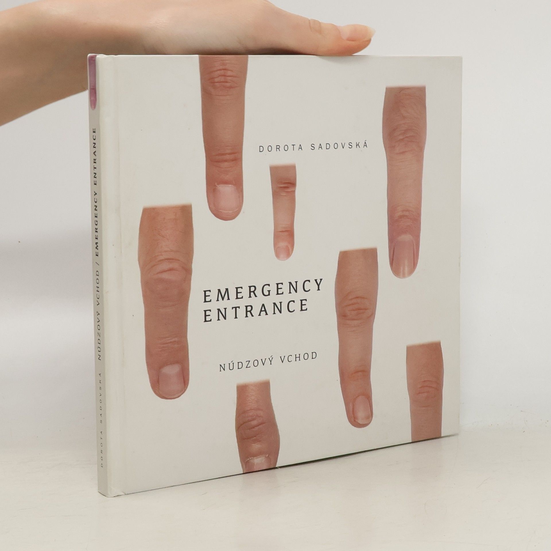 Emergency Entrance / Núdzový vchod