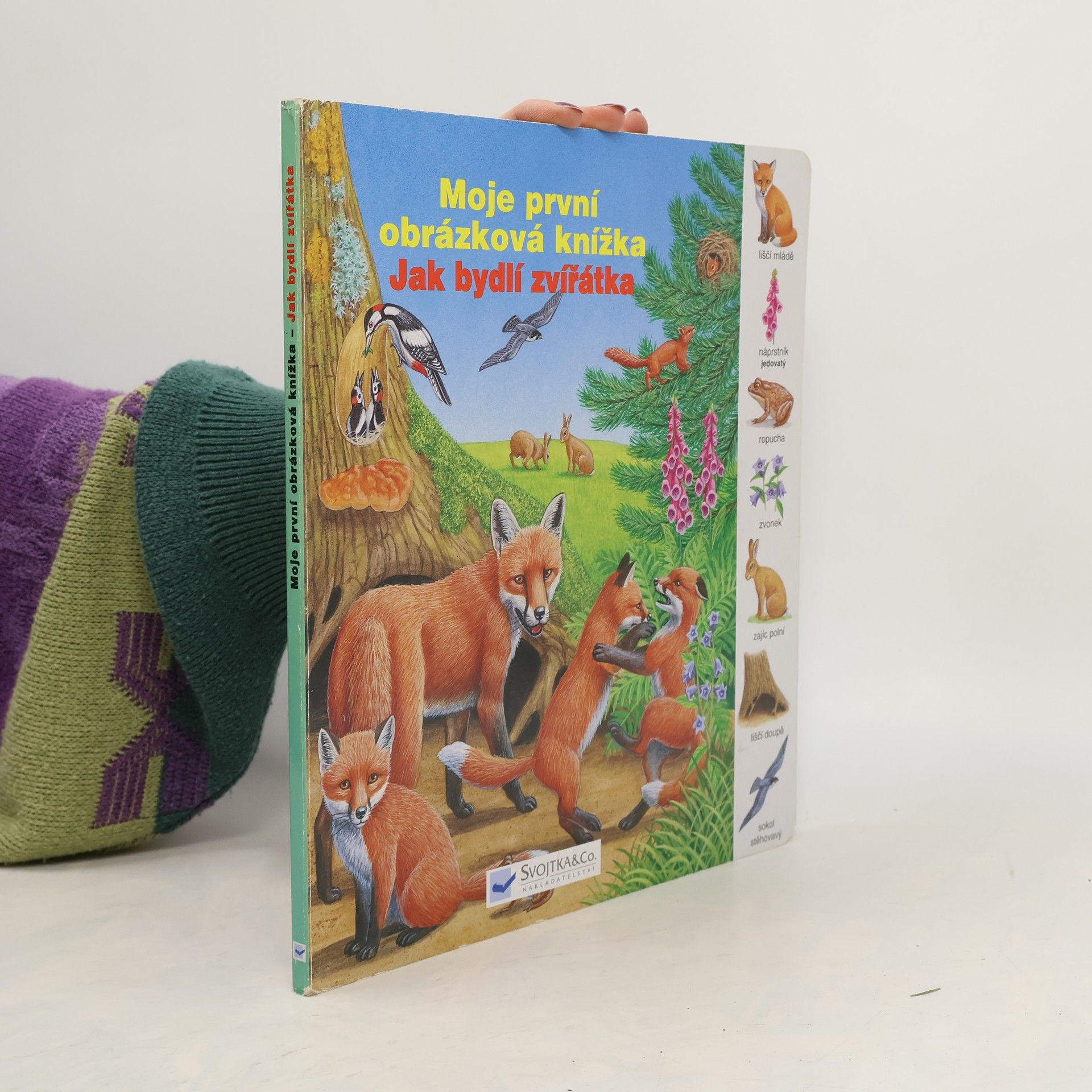 Dagmar Steidlová Moje první obrázková knížka: Jak bydlí zvířátka