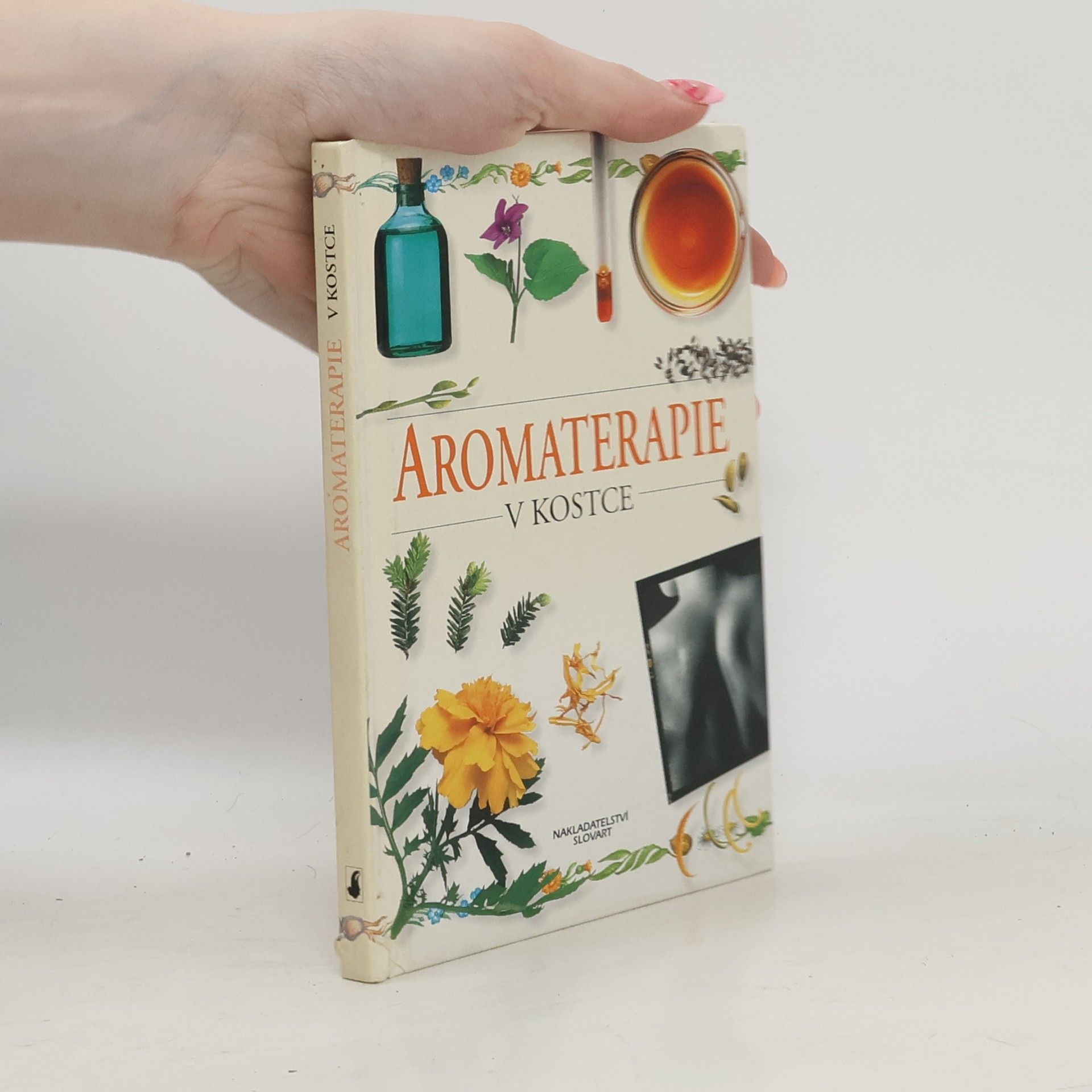 Sheila Lavery Aromaterapie v kostce