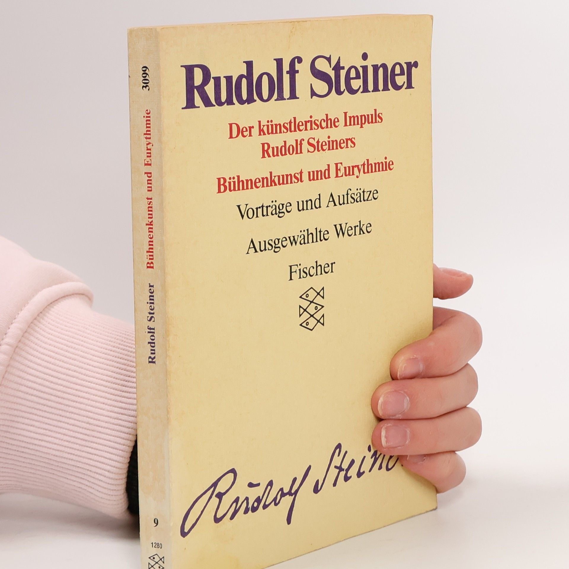Rudolf Steiner Ausgewählte Werke: Der künstlerische Impuls Rudolf Steiners