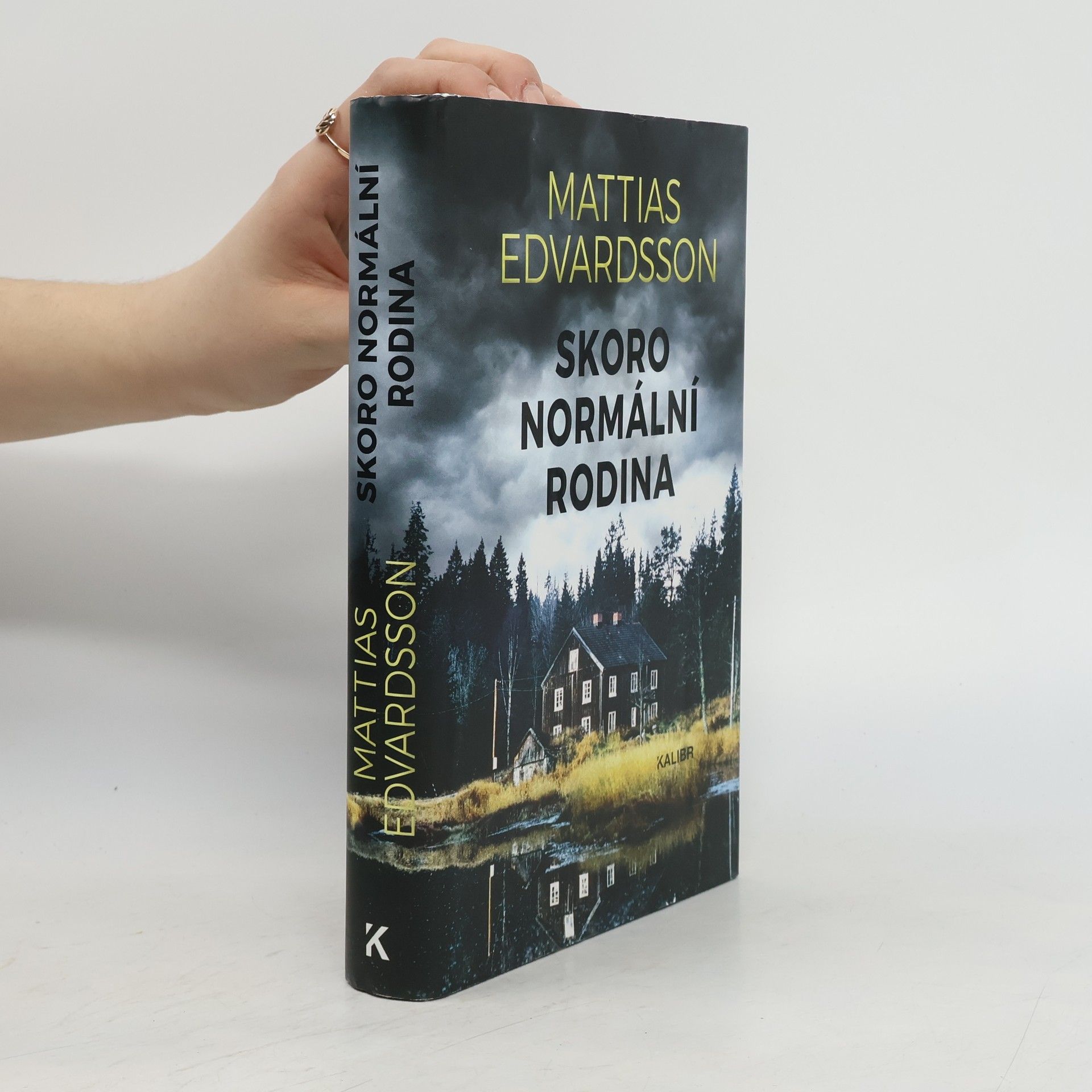 Mattias Edvardsson Skoro normální rodina