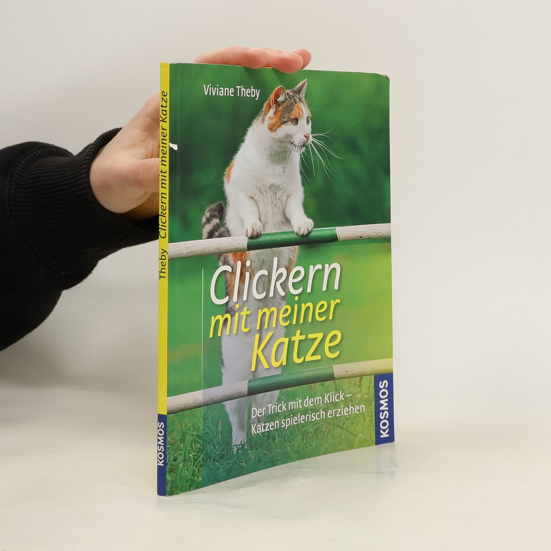 Clickern mit meiner Katze