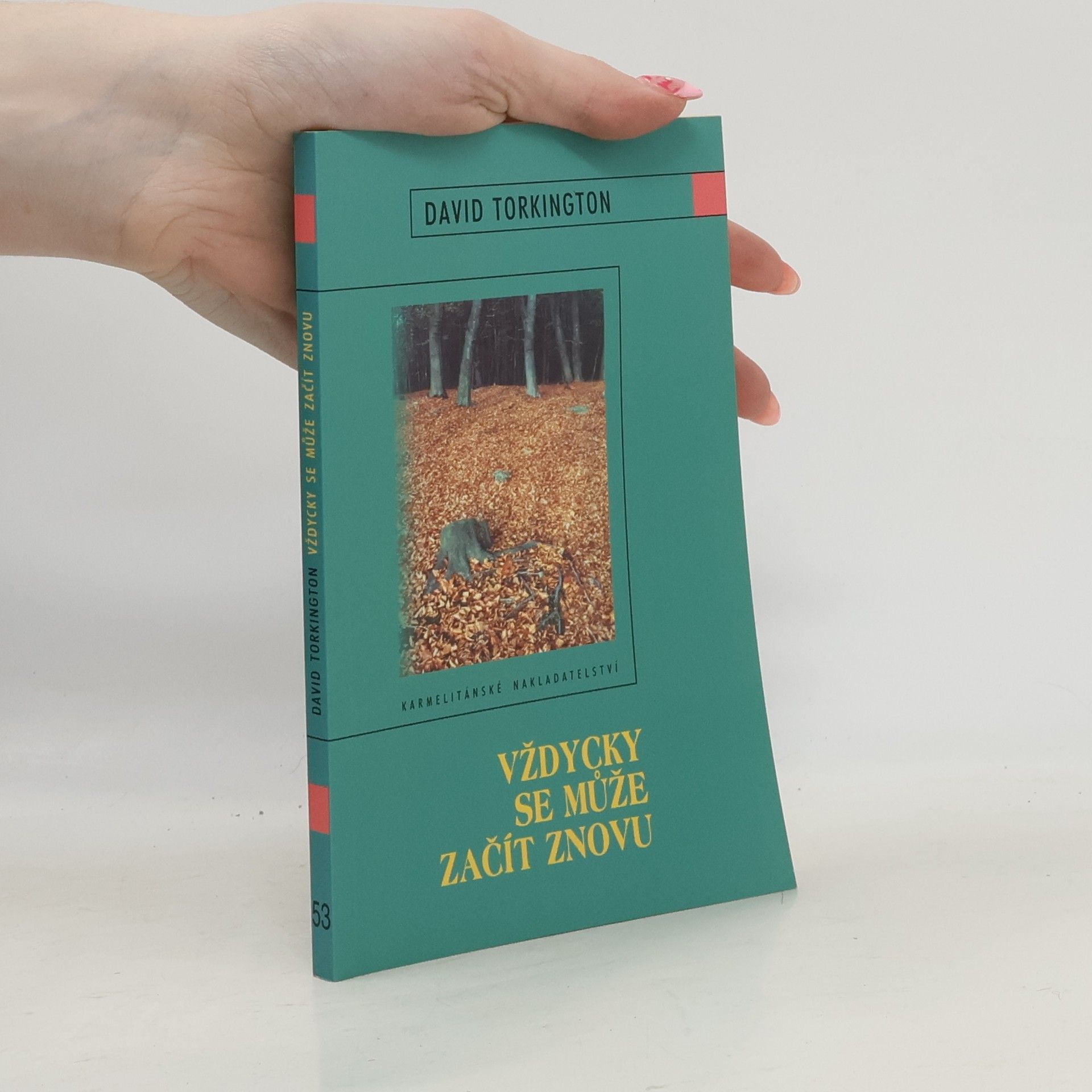 David Torkington Vždycky se může začít znovu