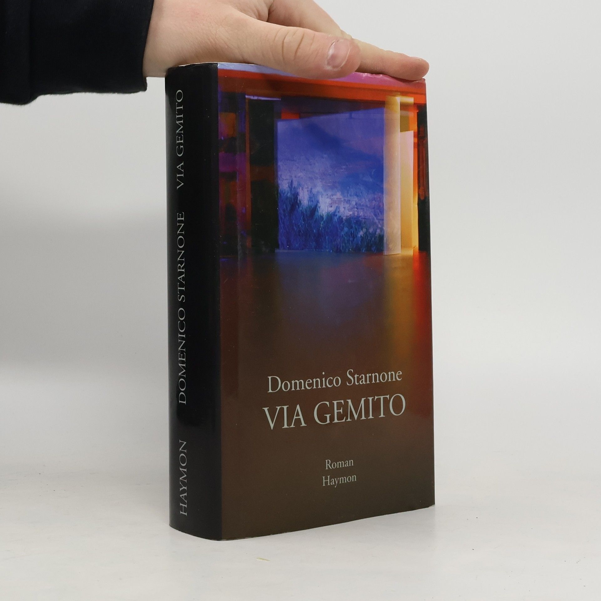 Domenico Starnone Via Gemito