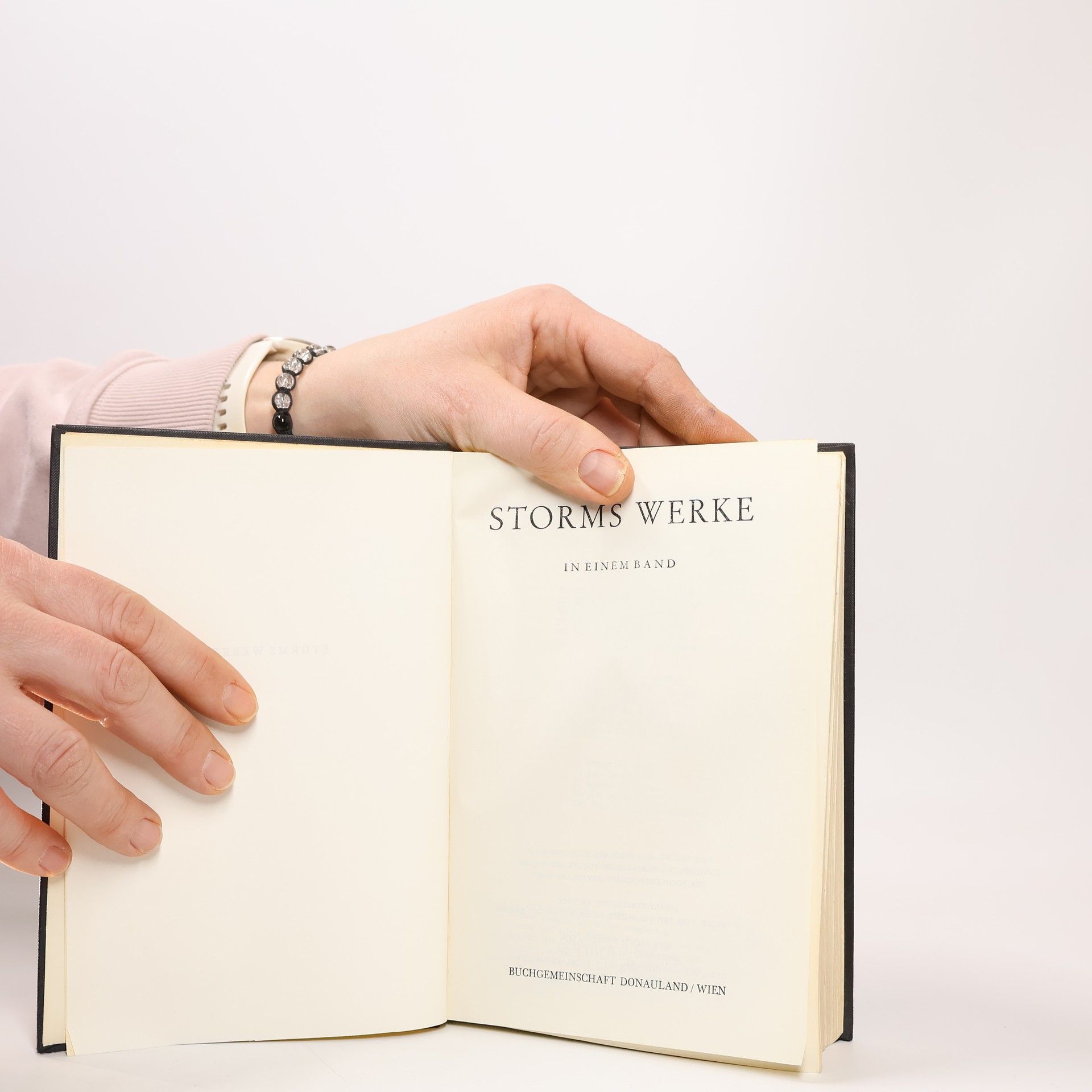 Theodor Storm Storms Werke