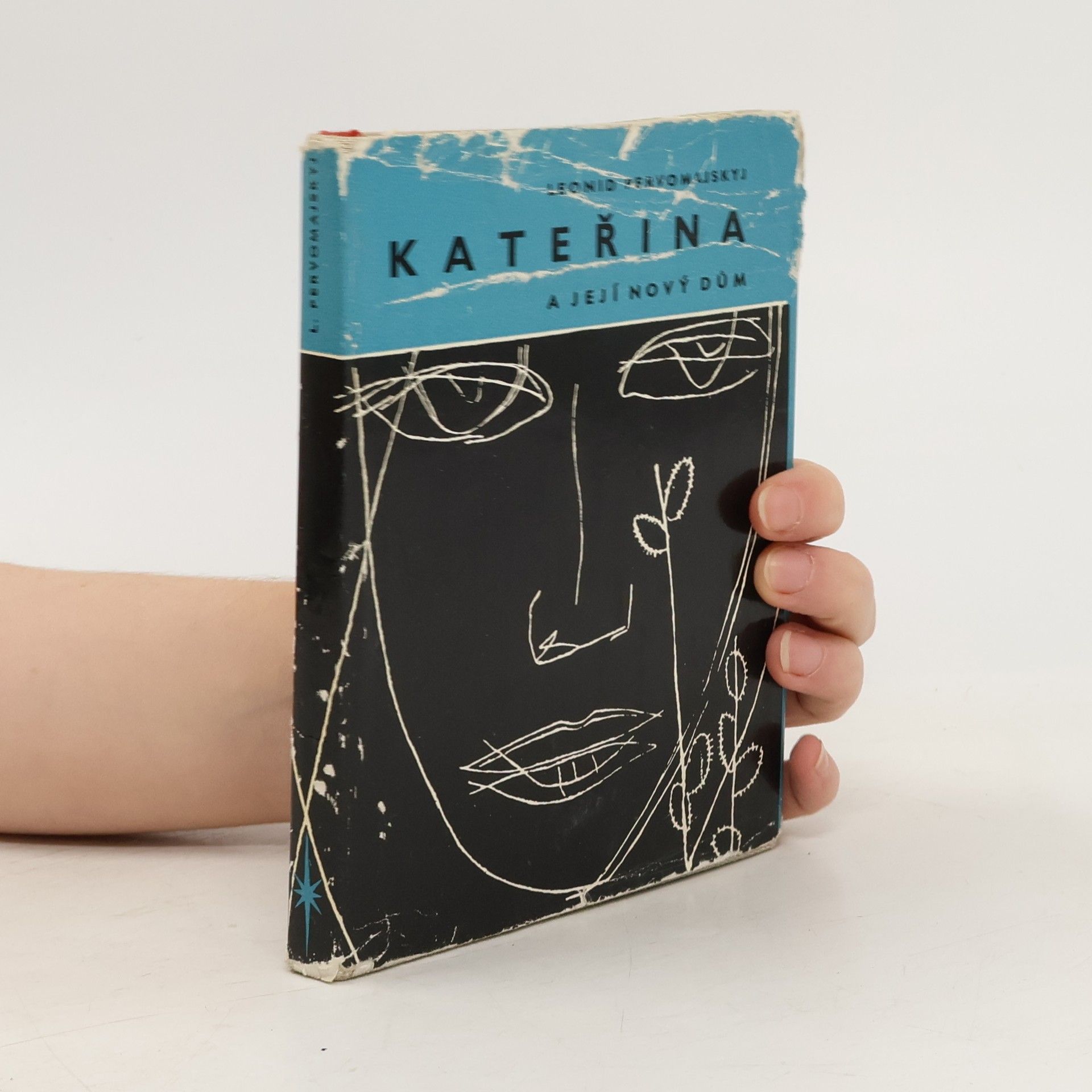 Kateřina a její nový dům