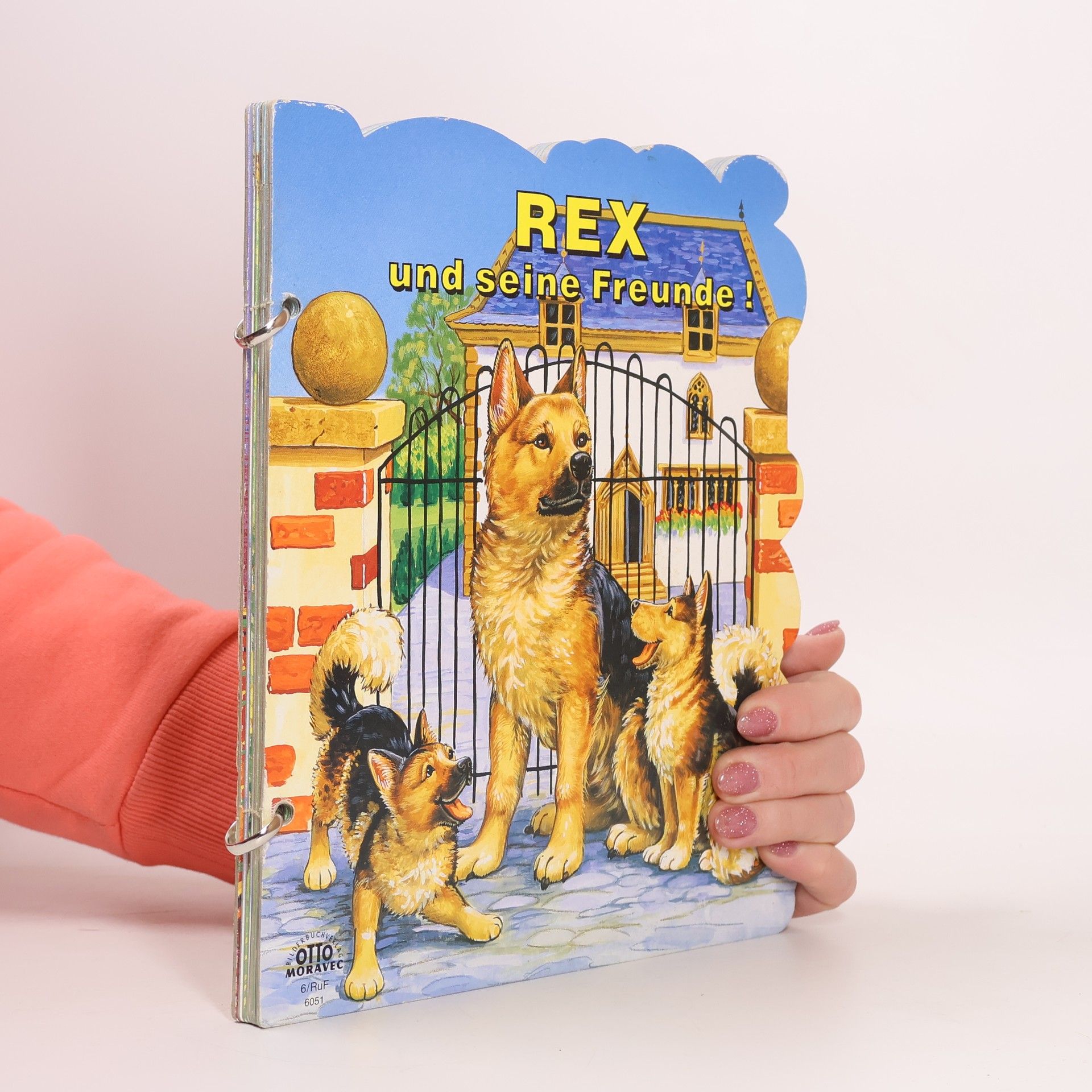 Collectif d'auteurs Rex und seine Freunde